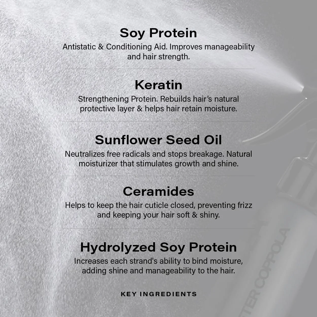 اسپری صاف کننده مو پیتر کوپولا مدل Just Blow حجم 2 اونس اسپری صاف کننده مو پیتر کوپولا مدل Just Blow حجم 2 اونس