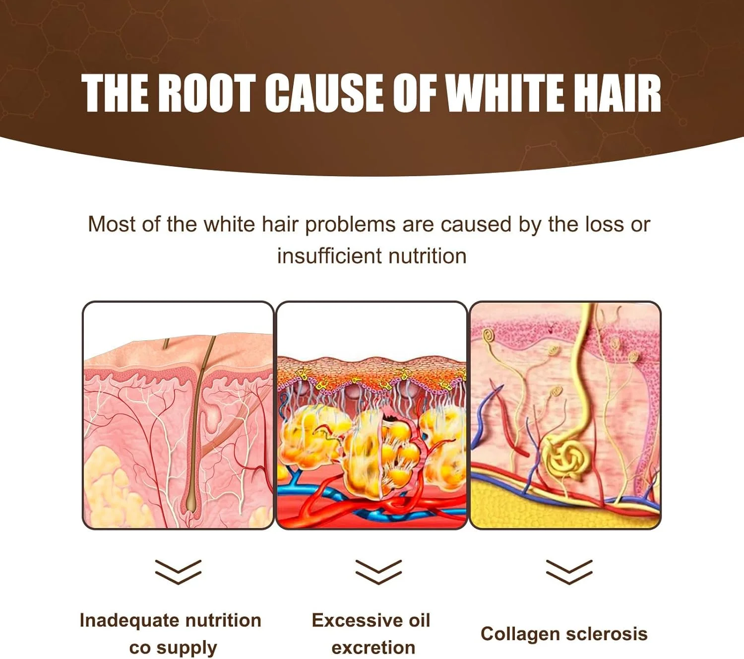 اسپری اسانس گیاهی معکوس کننده موهای سفید، اسپری مو اسانس گیاهی، اسپری مو اسانس گیاهی، اسپری نرم کننده مو مغذی طبیعی و ارگانیک (1 عدد)