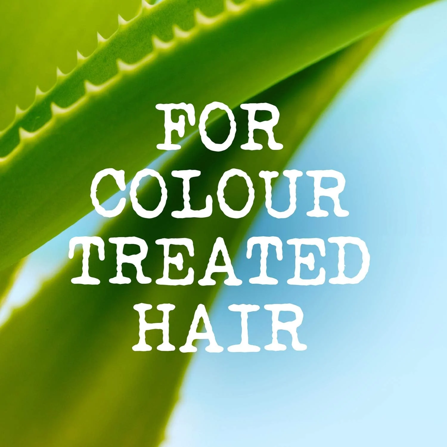 اسپری محافظ حرارت مو رنگ شده مائوئی مویسچر حاوی مواد معدنی دریایی، 125 میلی لیتر