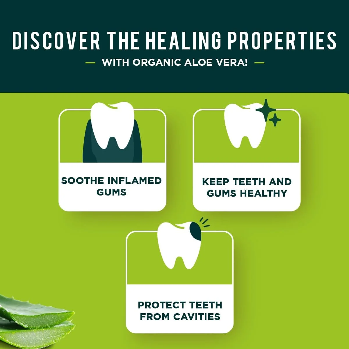 خمیر دندان آلوئه ورا ارگانیک دابور | کمک به جلوگیری از پوسیدگی دندان | ساخته شده با عصاره های گیاهی - 100 گرم خمیر دندان آلوئه ورا ارگانیک دابور | کمک به جلوگیری از پوسیدگی دندان | ساخته شده با عصاره های گیاهی - 100 گرم