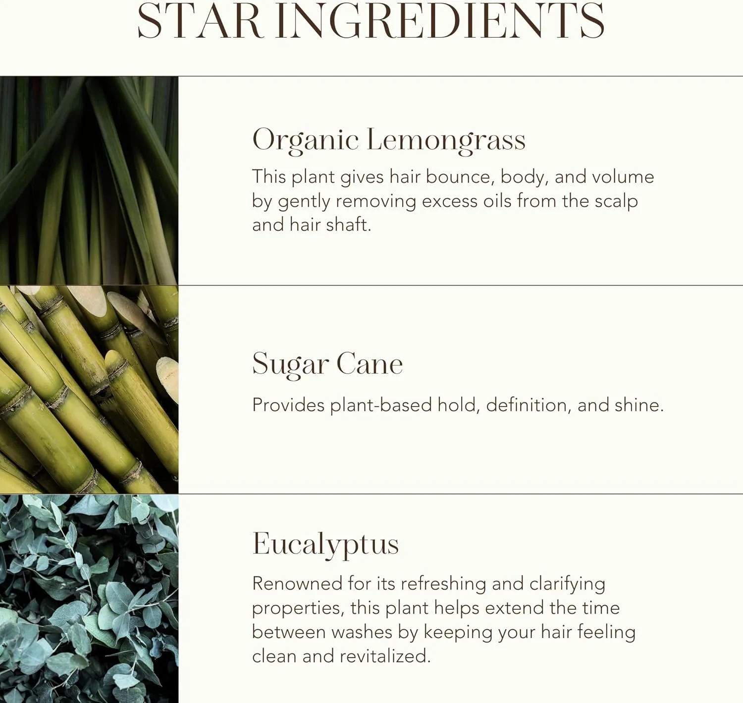 اسپری حجم دهنده Rahua، 6 اونس مایع، طراوت بخش پوست سر و مو، اسپری حجم دهنده و لیفت ملایم، رایحه اسطوخودوس و اکالیپتوس، اسپری بافت دهنده 100% طبیعی با مواد مغذی طبیعی و گیاهی