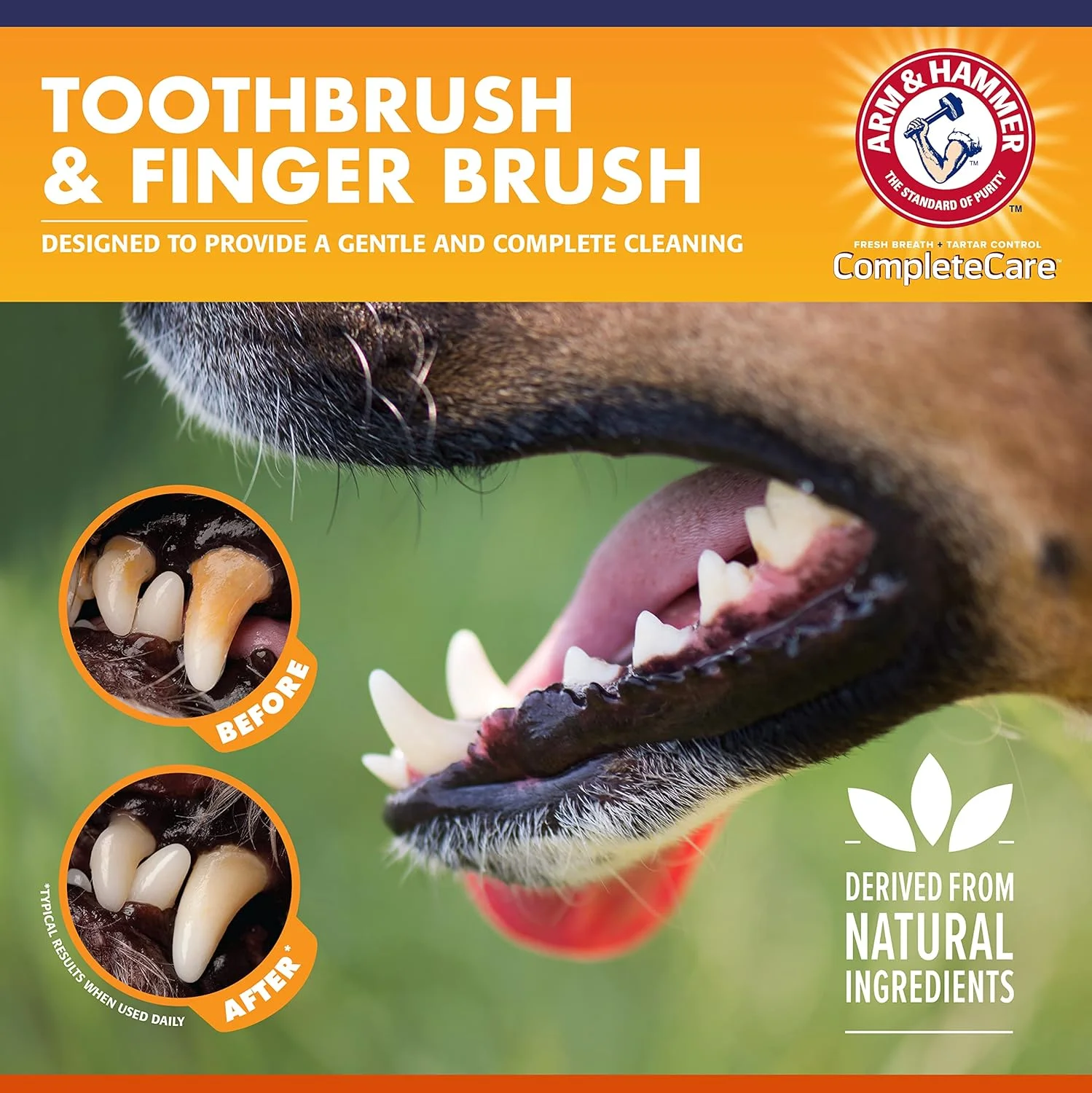 کیت کامل مراقبت دندان سگ Arm & Hammer | خمیر دندان سگ با طعم مرغ 70 گرم، مسواک دو طرفه سگ، مسواک انگشتی لاستیکی سگ | فرمول تقویت شده با جوش شیرین Arm & Hammer