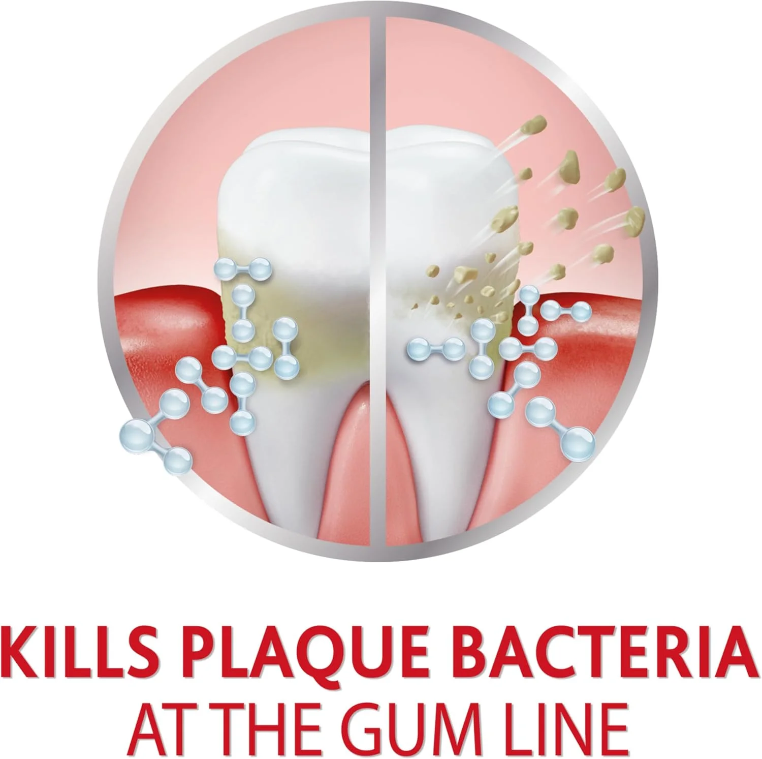 خمیر دندان سفید کننده و ترمیم کننده لثه پارودونتکس برای لثه های خونریزی دهنده - تیوب 96 گرمی
