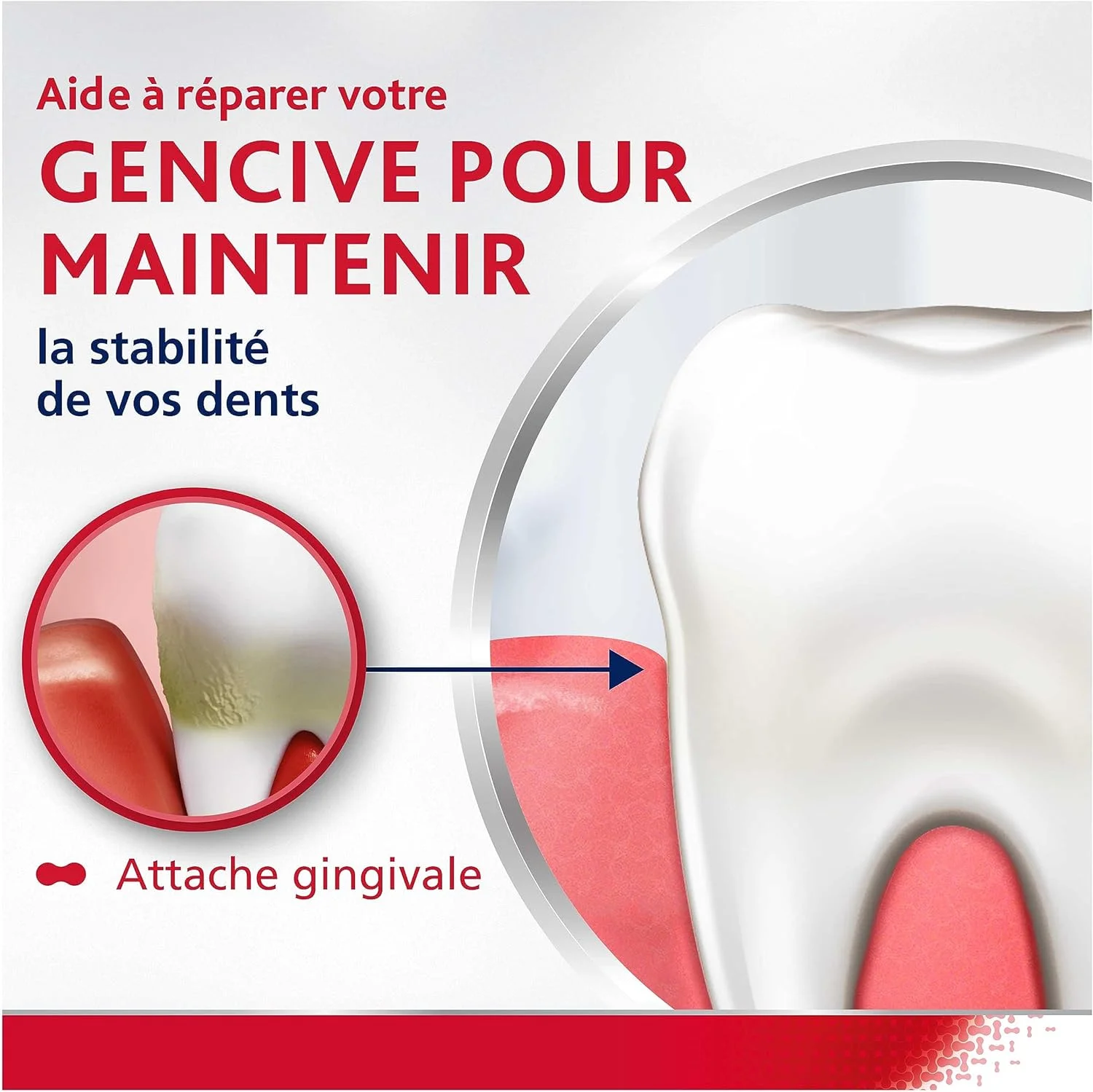 پاردونتکس - خمیر دندان محافظت کامل سفید کننده - ارائه دهنده 8 مزیت خاص برای لثه های سالم و دندان های قوی - کمک به سفید نگه داشتن دندان ها - 4 عدد 75 میلی لیتر