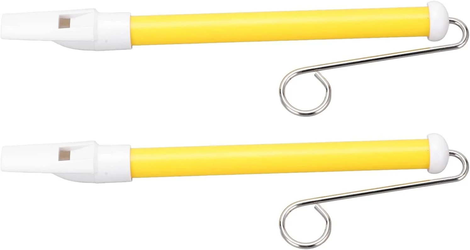 اسباب بازی سوت کشویی POENVFPO، 2 عدد، فلوت کشویی فلزی، ساز بادی حرفه ای برای کودکان مبتدی، فلوت و شیااو اسباب بازی سوت کشویی POENVFPO، 2 عدد، فلوت کشویی فلزی، ساز بادی حرفه ای برای کودکان مبتدی، فلوت و شیااو