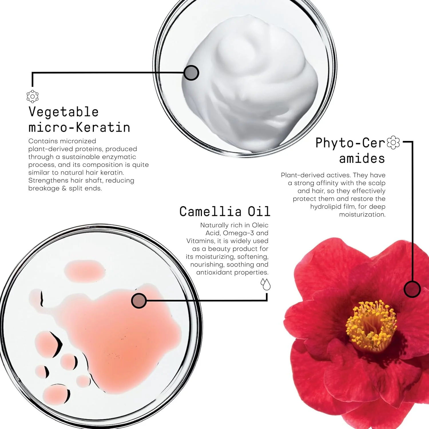 موس مو حجم دهنده و ترمیم کننده موهای آسیب دیده FRAMESI Morphosis Repair، حجم 150 میلی لیتر موس مو حجم دهنده و ترمیم کننده موهای آسیب دیده FRAMESI Morphosis Repair، حجم 150 میلی لیتر