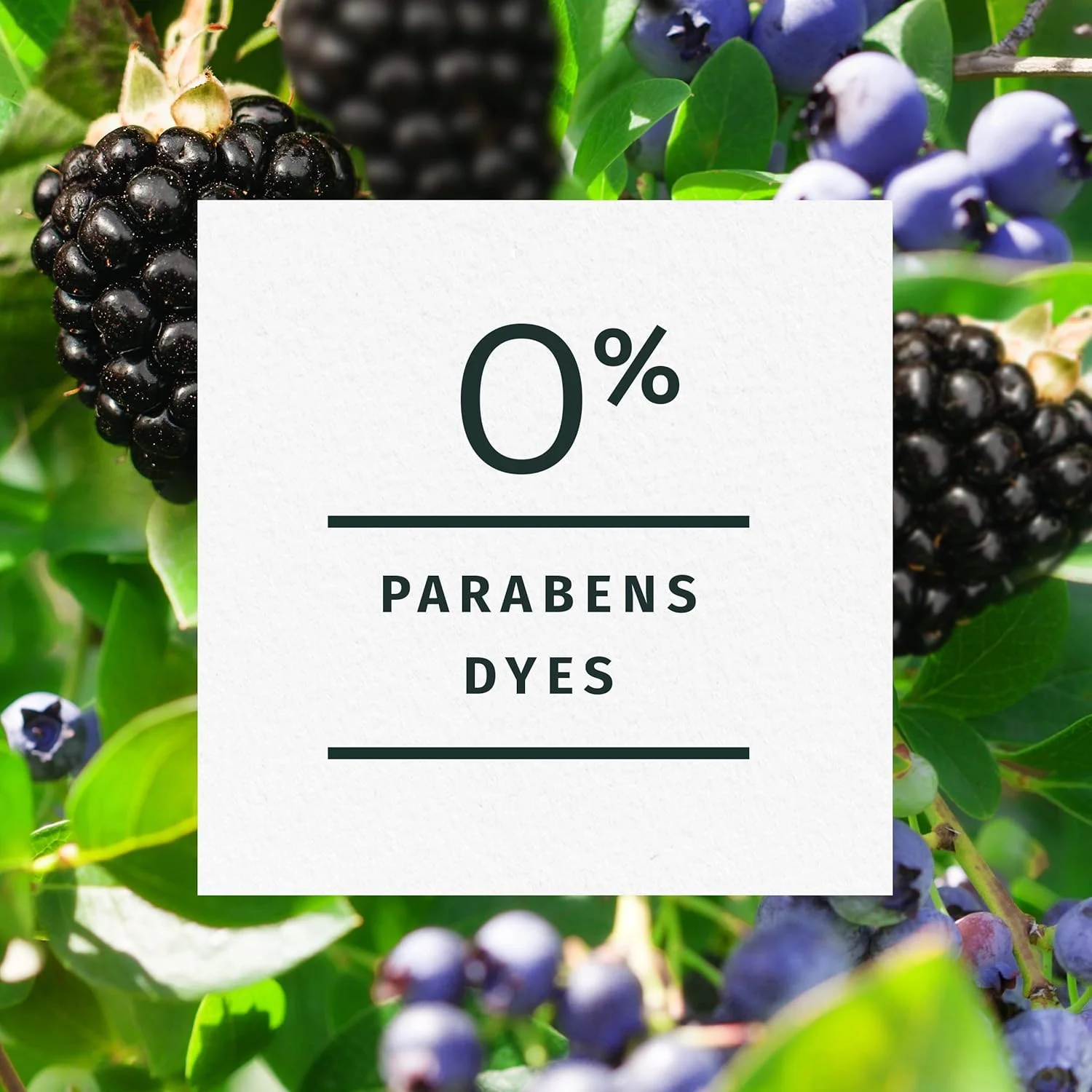 موس حالت دهنده و تقویت کننده فر مو هربال اسنسز، کنترل وز برای موهای فر و موج دار، ماندگاری طولانی با رایحه توت، بدون پارابن و رنگ، بدون تست حیوانی، 200 میلی لیتر، بسته 3 عددی موس حالت دهنده و تقویت کننده فر مو هربال اسنسز، کنترل وز برای موهای فر و موج دار، ماندگاری طولانی با رایحه توت، بدون پارابن و رنگ، بدون تست حیوانی، 200 میلی لیتر، بسته 3 عددی