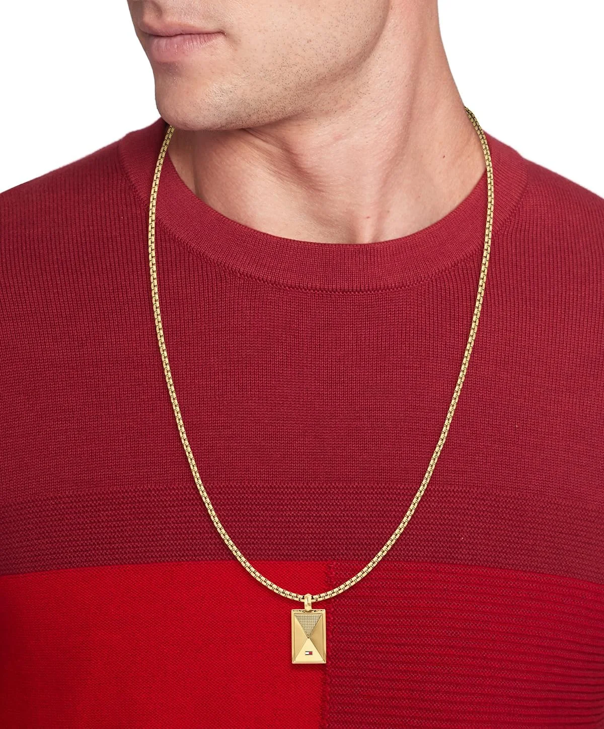 جواهرات مردانه تامی هیلفیگر - آویز استیل ضد زنگ با زنجیر، قفل خرچنگی - مناسب برای موقعیت های غیر رسمی یا رسمی - هدیه برای آقایان جواهرات مردانه تامی هیلفیگر - آویز استیل ضد زنگ با زنجیر، قفل خرچنگی - مناسب برای موقعیت های غیر رسمی یا رسمی - هدیه برای آقایان