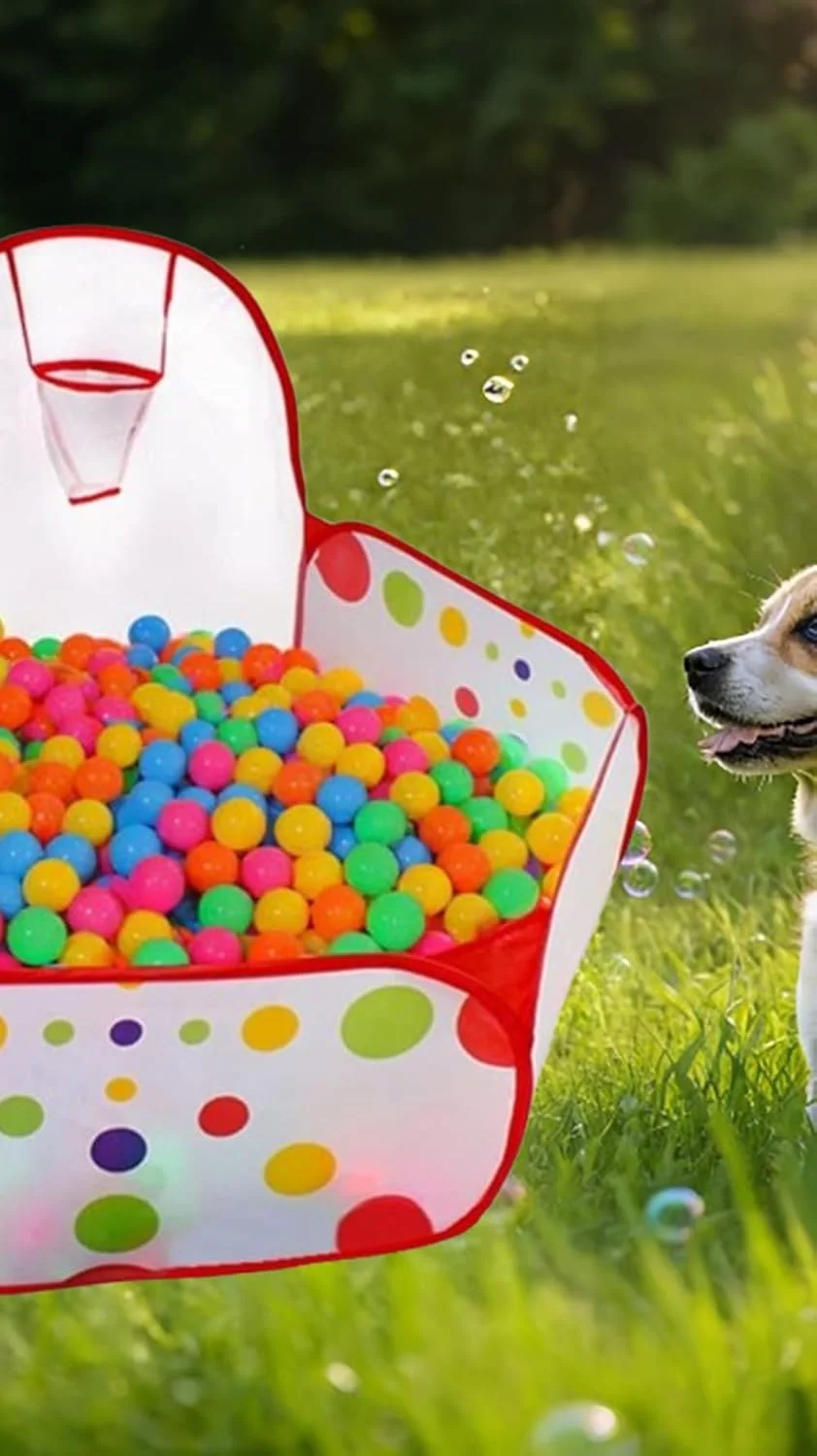 چادر بازی کودک سوییت سون® با استخر توپ و حلقه بسکتبال کوچک برای کودکان نوپا، کودکان و حیوانات خانگی - سرگرمی داخل و خارج از خانه، طراحی قابل حمل 1.2 متری برای بازی و رشد فعال (توپ ها شامل نمی شوند) چادر بازی کودک سوییت سون® با استخر توپ و حلقه بسکتبال کوچک برای کودکان نوپا، کودکان و حیوانات خانگی - سرگرمی داخل و خارج از خانه، طراحی قابل حمل 1.2 متری برای بازی و رشد فعال (توپ ها شامل نمی شوند)