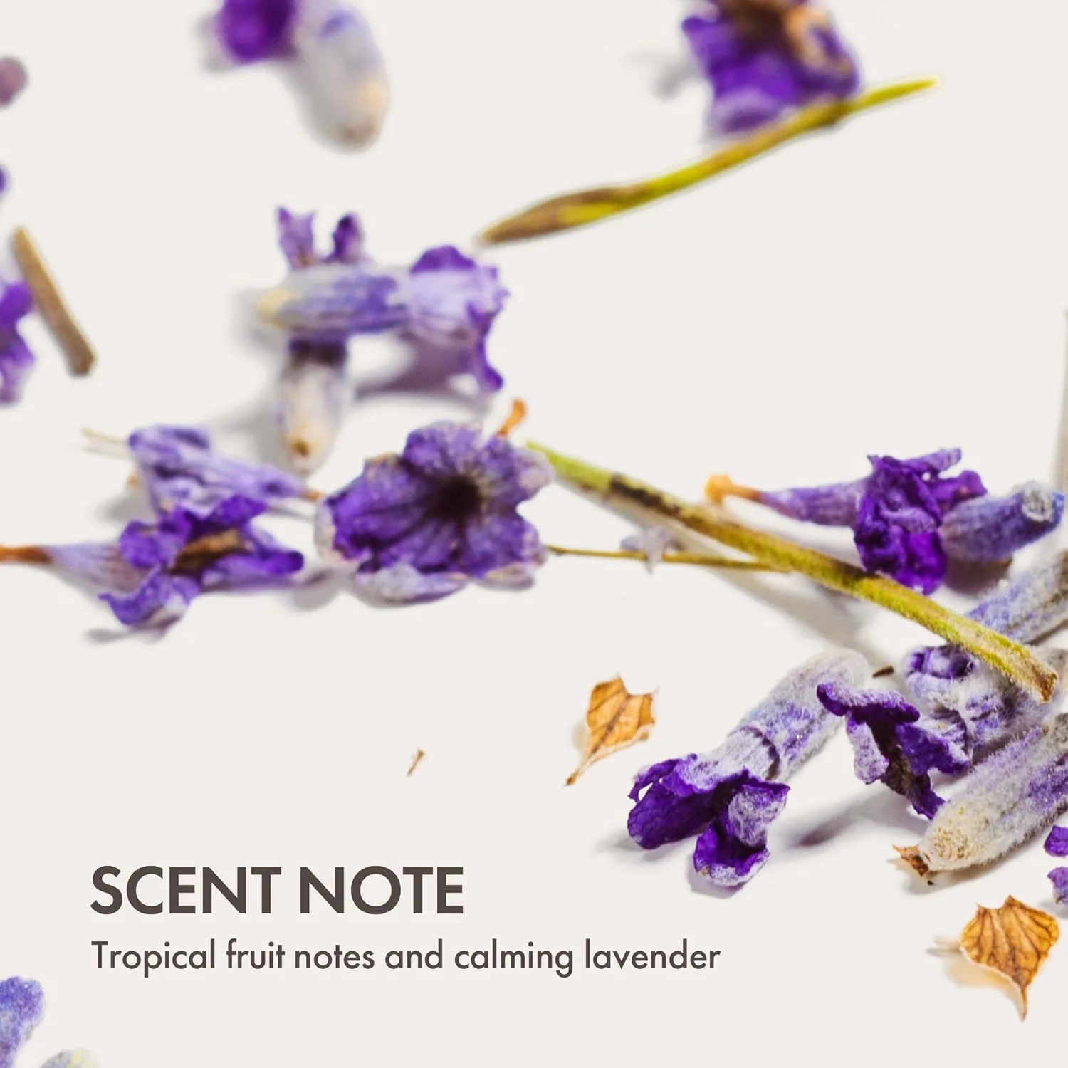 ماسک موی کلی نگر مراقبت از موی اِن‌جوی، نرم کننده برای موهای آسیب دیده، نرم کننده مو، ماسک مو برای موهای آسیب دیده، محصولات مو - 6.2 اونس