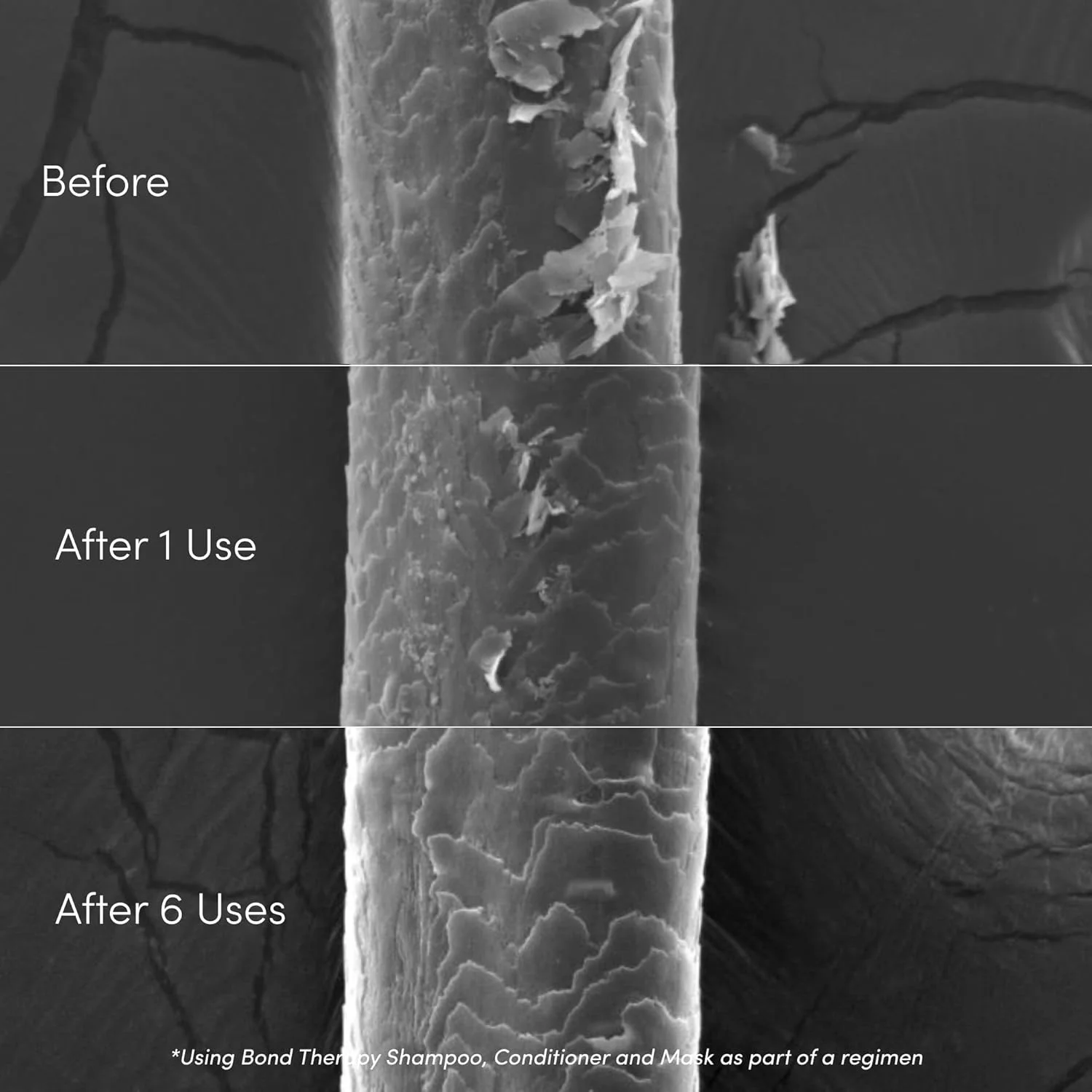 ماسک مو Coco & Eve Bond Therapy Pro Bond