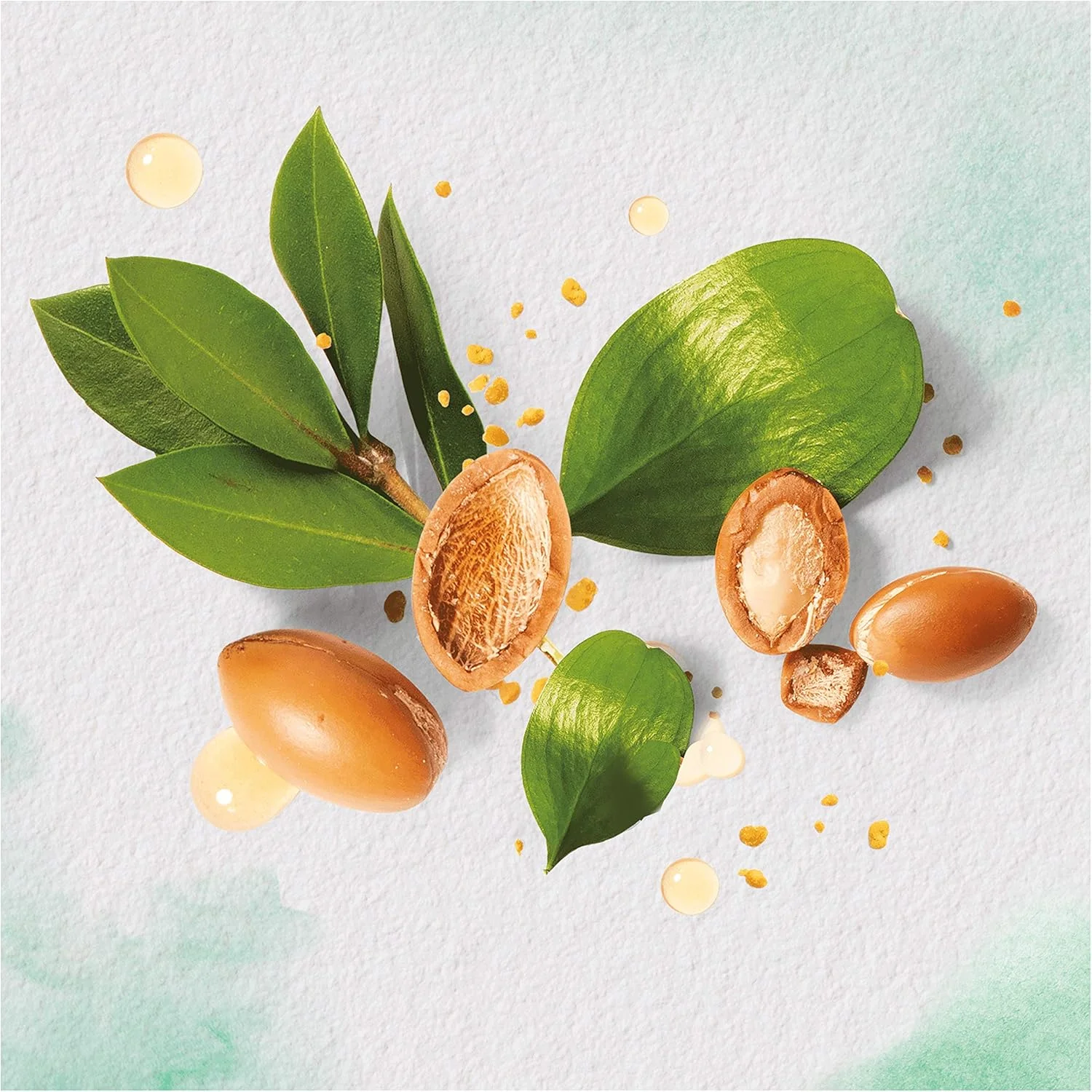 ماسک مو روغن آرگان مراکشی هربال اسنسز Pure:Renew، 250 میلی لیتر، مراقبت از مو با روغن آرگان، ماسک مو آرگان، درمان مو با روغن آرگان، مراقبت از مو برای درخشندگی، مراقبت از موهای خشک، درمان با روغن آرگان، آلوئه ورا ماسک مو روغن آرگان مراکشی هربال اسنسز Pure:Renew، 250 میلی لیتر، مراقبت از مو با روغن آرگان، ماسک مو آرگان، درمان مو با روغن آرگان، مراقبت از مو برای درخشندگی، مراقبت از موهای خشک، درمان با روغن آرگان، آلوئه ورا