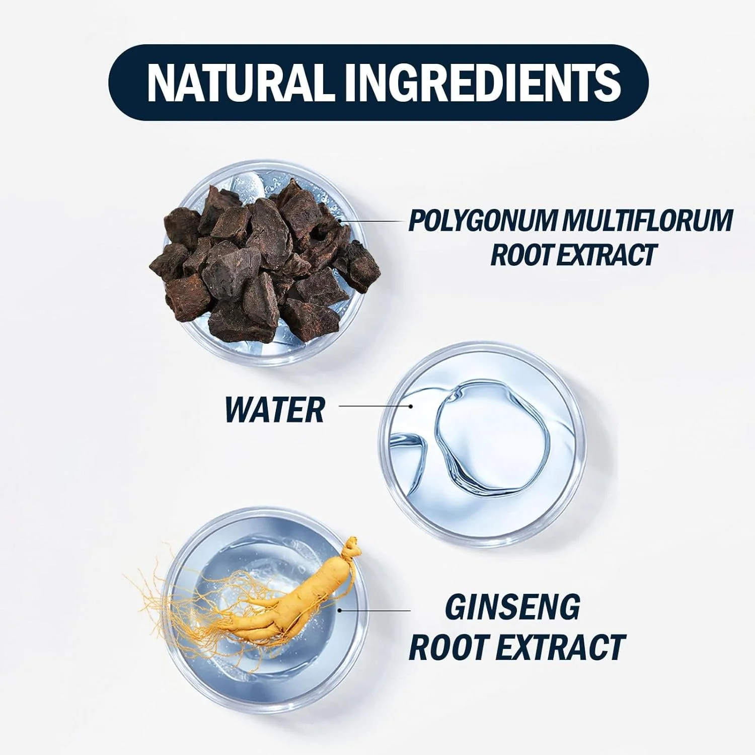 اسپری مراقبت از پوست سر و رشد مو Azonee، 30 میلی لیتر، درمان ضد ریزش مو برای زنان و مردان، سرم رشد مو، سرم پوست سر برای رشد مو، اسپری درمان ریزش مو مردانه (2 عدد)