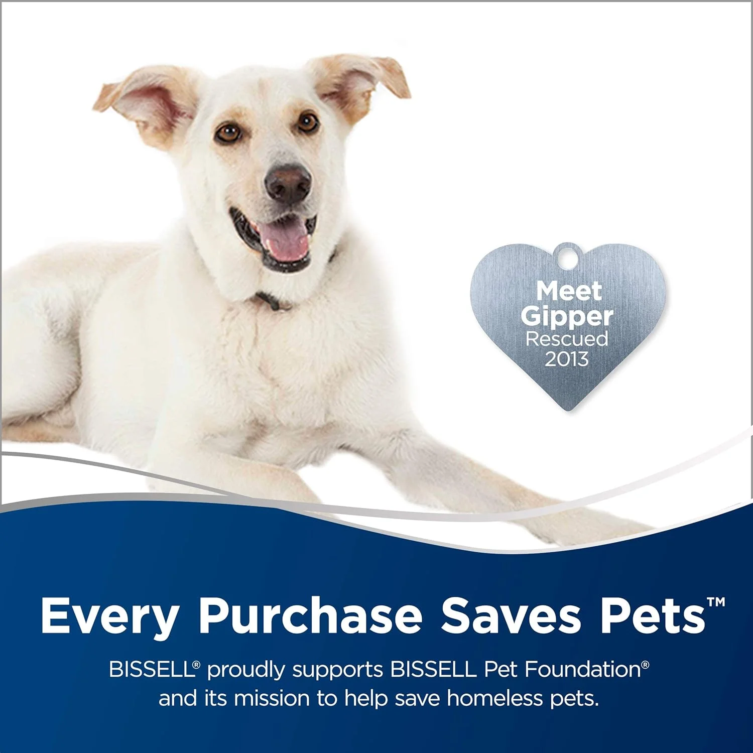 بخارشوی بیسل مدل Powerfresh Deluxe 1806، مناسب برای تمیز کردن کاشی، سرامیک و کف چوبی سخت