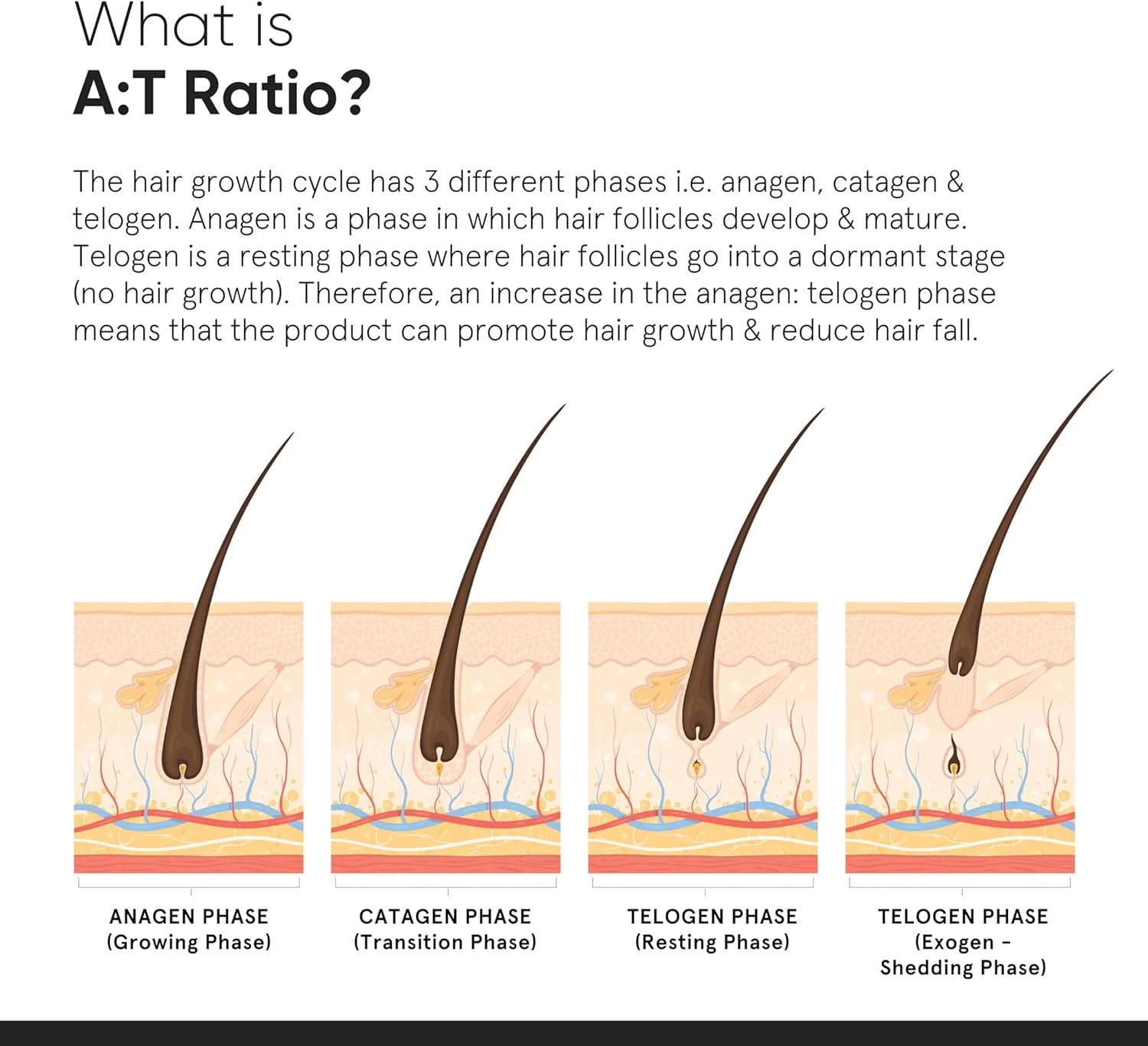 سرم موی متراکم 18% مینیمالیست | حاوی پروکاپیل، کاپیکسیل، رِدِنسِیل، آناگِین و بایکاپیل برای کنترل ریزش مو و رشد مو در مردان و زنان | 30 میلی لیتر