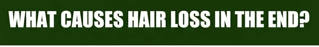 اسپری رشد مو NALACAL، سرم رشد مو برای رشد مجدد مو، اسپری ضخیم کننده مو و مراقبت از موی سر، ترمیم مو، درمان ضد ریزش مو برای زنان و مردان (100 میلی لیتر) اسپری رشد مو NALACAL، سرم رشد مو برای رشد مجدد مو، اسپری ضخیم کننده مو و مراقبت از موی سر، ترمیم مو، درمان ضد ریزش مو برای زنان و مردان (100 میلی لیتر)