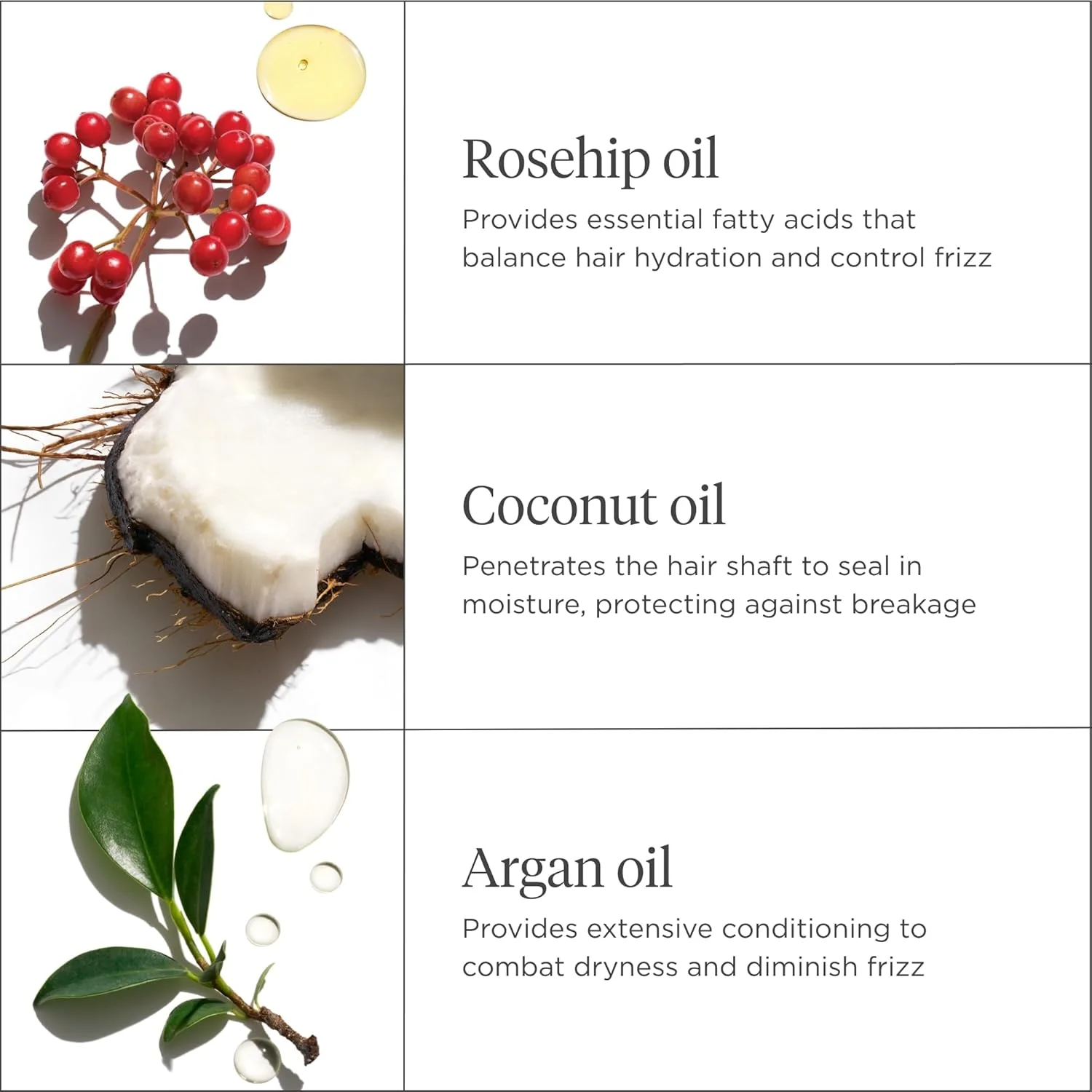 ترکیب روغن گل رز، آرگان و نارگیل بریوجیو Farewell Frizz حجم 30 میلی لیتر ترکیب روغن گل رز، آرگان و نارگیل بریوجیو Farewell Frizz حجم 30 میلی لیتر