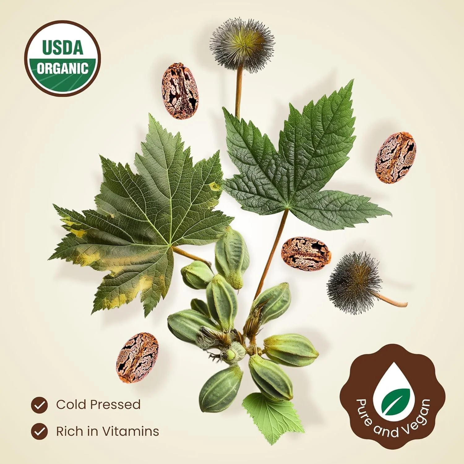 روغن کرچک ارگانیک (دارای گواهی USDA - 120 میلی لیتر)، 100% خالص و بدون هگزان، پرس سرد تصفیه نشده، ضد ریزش و تقویت کننده مو، رشد مو، مژه و ابرو، مرطوب کننده و مغذی روغن کرچک ارگانیک (دارای گواهی USDA - 120 میلی لیتر)، 100% خالص و بدون هگزان، پرس سرد تصفیه نشده، ضد ریزش و تقویت کننده مو، رشد مو، مژه و ابرو، مرطوب کننده و مغذی