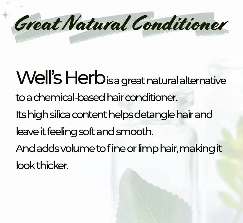 دم اسب (علف هفت بند) - گیاه Well's Herb / 24 نوع / ایده آل برای روغن موی گیاهی / گیاهان خوراکی (دم اسب) دم اسب (علف هفت بند) - گیاه Well's Herb / 24 نوع / ایده آل برای روغن موی گیاهی / گیاهان خوراکی (دم اسب)