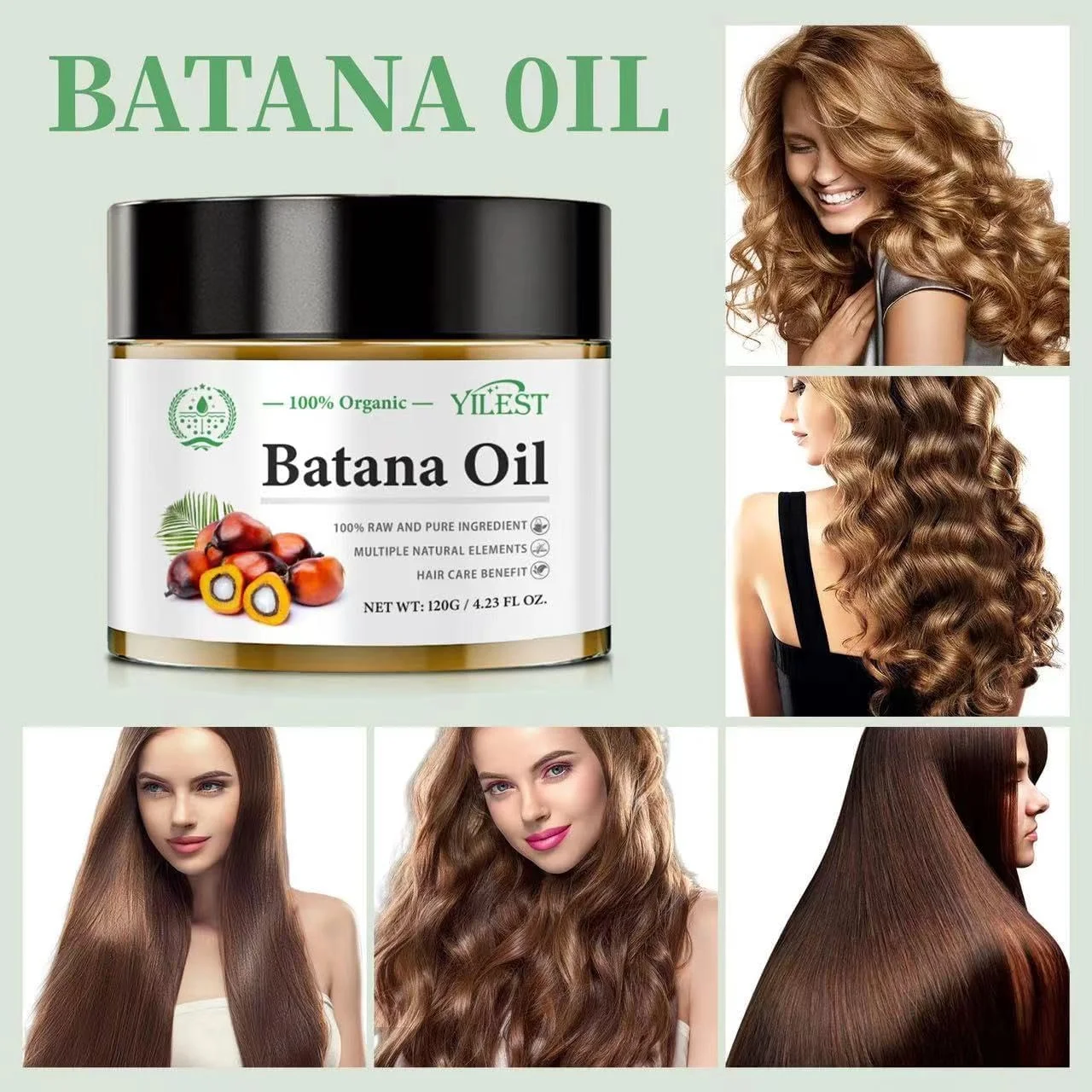 روغن باتانا ارگانیک هوگود برای رشد مو، کاهش موخوره، تغذیه مو، تقویت سلامت مو، جلوگیری از ریزش مو برای آقایان و بانوان، بی ضرر برای پوست سر، ماسک مو روغن باتانا 120 میلی لیتر (1 عدد) روغن باتانا ارگانیک هوگود برای رشد مو، کاهش موخوره، تغذیه مو، تقویت سلامت مو، جلوگیری از ریزش مو برای آقایان و بانوان، بی ضرر برای پوست سر، ماسک مو روغن باتانا 120 میلی لیتر (1 عدد)