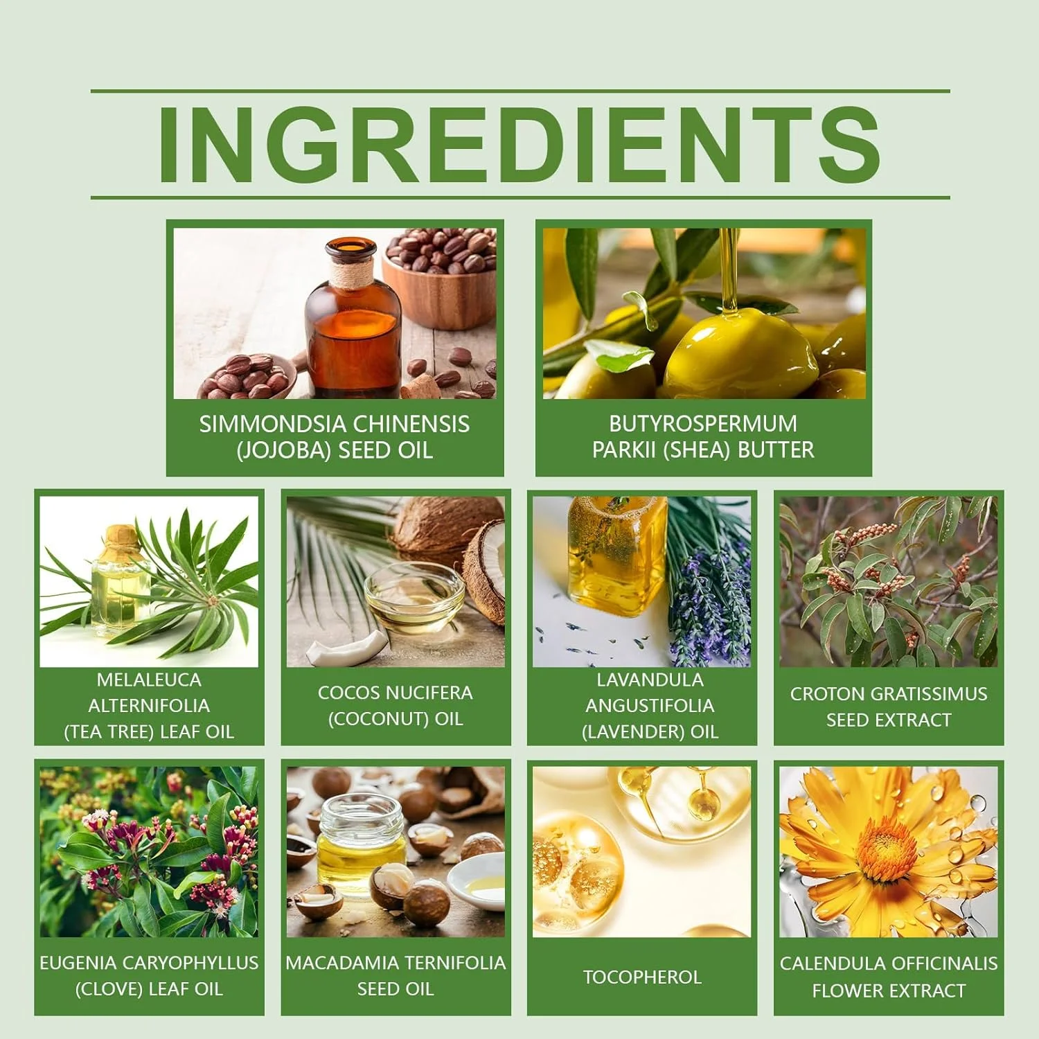 روغن و پودر رشد مو 10 در 1 نالاکال، تقویت رشد مو، کاهش ریزش مو، تقویت و تغذیه برای موهایی پرپشت تر و سالم تر روغن و پودر رشد مو 10 در 1 نالاکال، تقویت رشد مو، کاهش ریزش مو، تقویت و تغذیه برای موهایی پرپشت تر و سالم تر