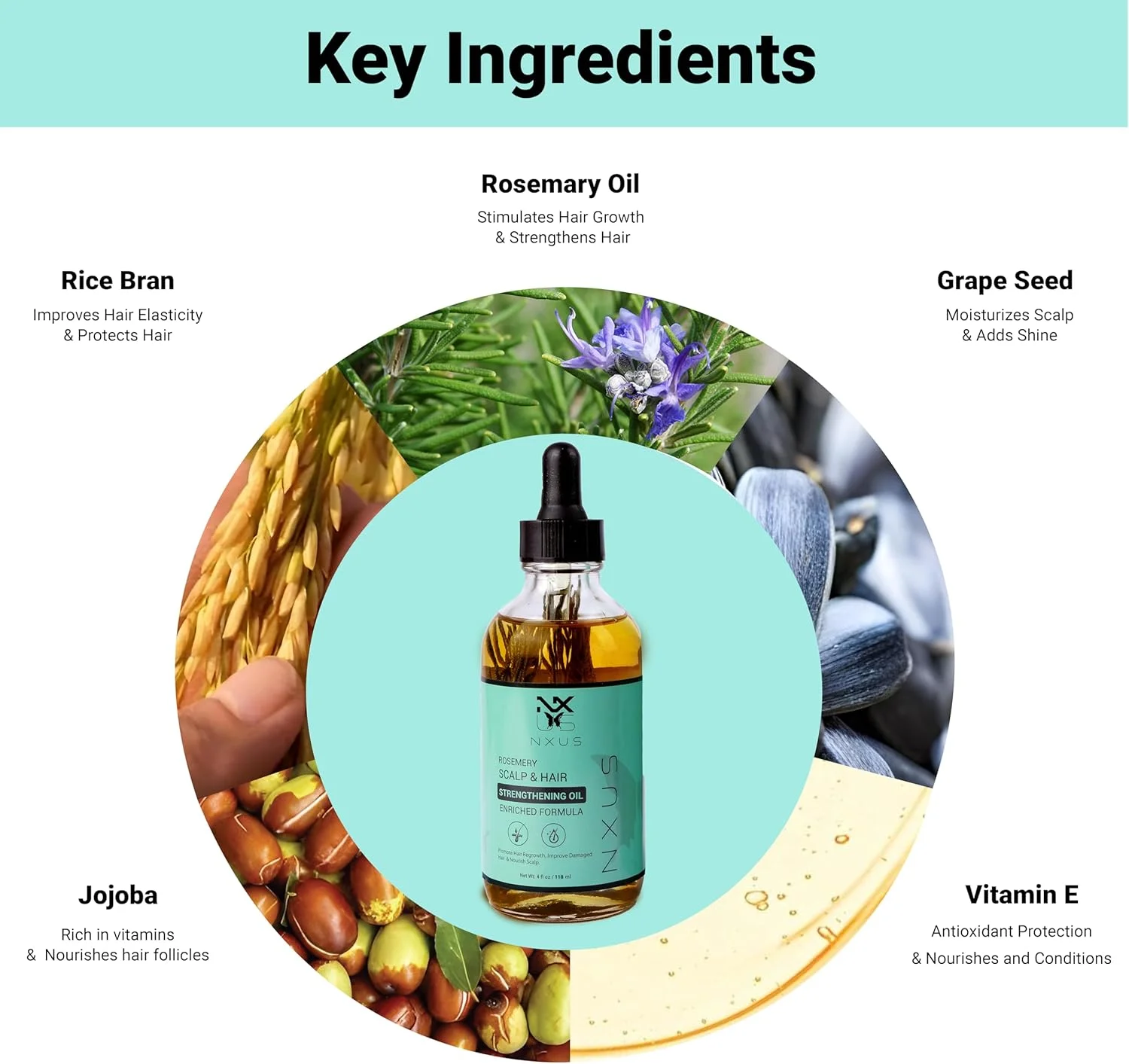 روغن رزماری بزرگ ان ایکس یو اس 118 میلی لیتری برای رشد مو به همراه ماساژور پوست سر و درمارولر (0.25 میلی متر) - توقف ریزش مو و عقب رفتن خط مو - روغن تقویت کننده پوست سر - 100% ارگانیک و طبیعی روغن رزماری بزرگ ان ایکس یو اس 118 میلی لیتری برای رشد مو به همراه ماساژور پوست سر و درمارولر (0.25 میلی متر) - توقف ریزش مو و عقب رفتن خط مو - روغن تقویت کننده پوست سر - 100% ارگانیک و طبیعی