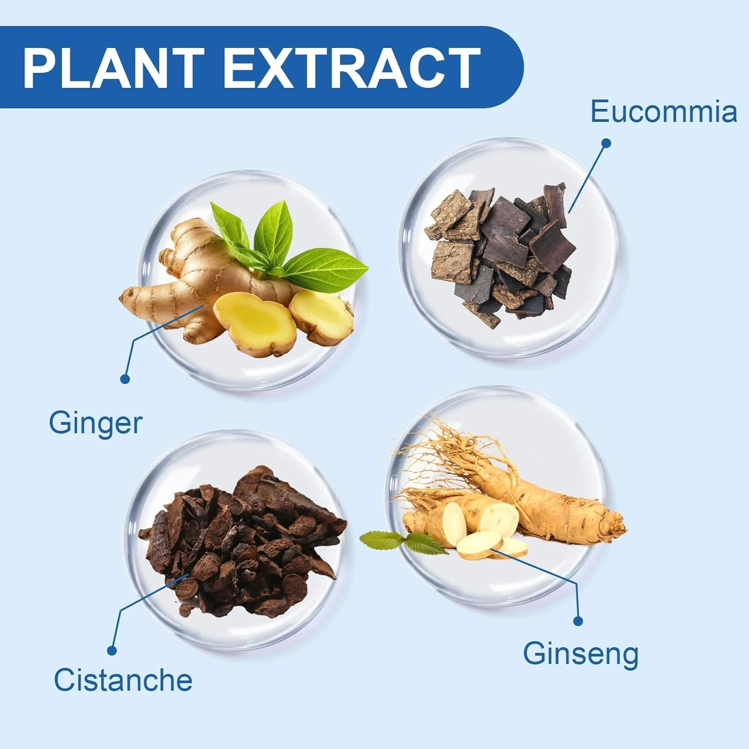 سرم رشد مو، سرم مو 120 میلی لیتری برای رشد مو، رشد طبیعی مو برای مردان و زنان، تقویت مو و جلوگیری از ریزش مو، هدیه برای مردان و زنان سرم رشد مو، سرم مو 120 میلی لیتری برای رشد مو، رشد طبیعی مو برای مردان و زنان، تقویت مو و جلوگیری از ریزش مو، هدیه برای مردان و زنان