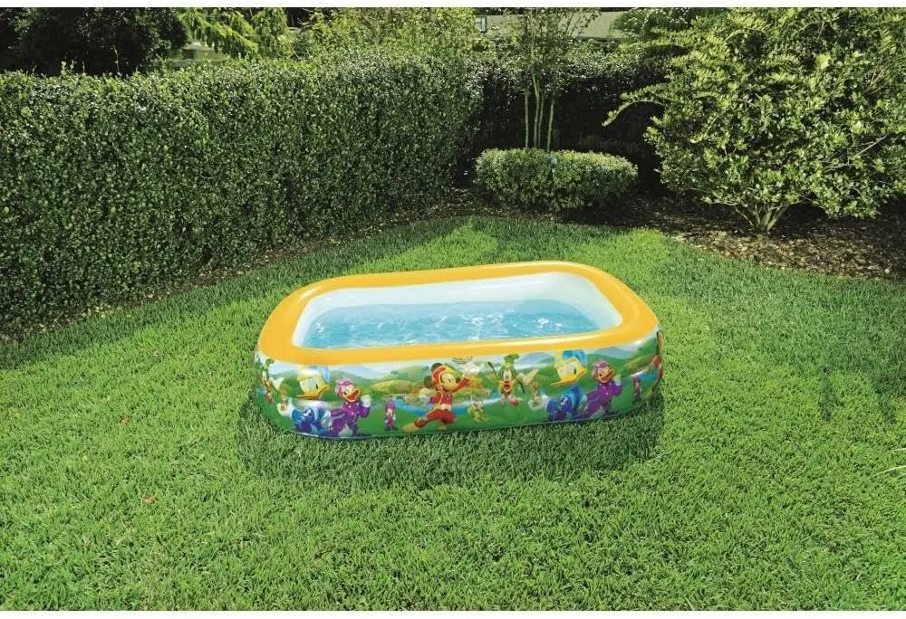 استخر خانوادگی بست وی طرح میکی موس کلاب هاوس