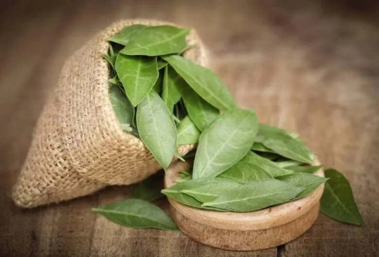 برگ حنای گیتانجلی برای رنگ مو - رنگ موی دست ساز 100% ارگانیک، رنگ مو - حنای خالص طبیعی راجستانی - بسته 2 عددی 200 گرمی - 400 گرم برگ حنای گیتانجلی برای رنگ مو - رنگ موی دست ساز 100% ارگانیک، رنگ مو - حنای خالص طبیعی راجستانی - بسته 2 عددی 200 گرمی - 400 گرم