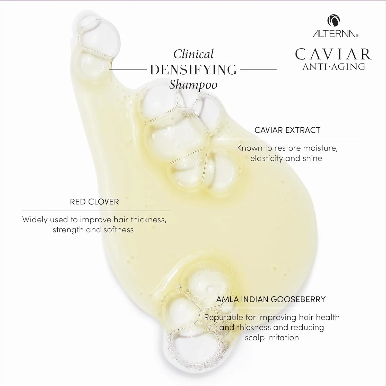 شامپو ضخیم کننده موهای نازک و کم پشت آلترنا CAVIAR Anti-Aging Clinical، حجم ۲۵۰ میلی لیتر | مناسب موهای نازک و کم پشت | ضخیم کننده مو و محافظت از پوست سر | فاقد سولفات شامپو ضخیم کننده موهای نازک و کم پشت آلترنا CAVIAR Anti-Aging Clinical، حجم ۲۵۰ میلی لیتر | مناسب موهای نازک و کم پشت | ضخیم کننده مو و محافظت از پوست سر | فاقد سولفات