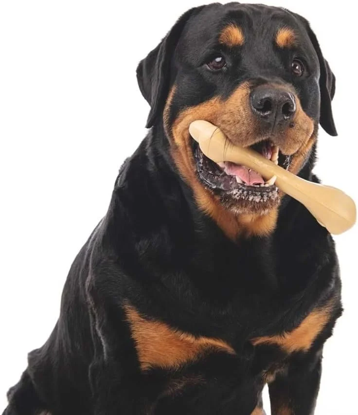 اسباب بازی استخوان سگ M-PETS Greenbo از لاستیک طبیعی سایز بزرگ اسباب بازی استخوان سگ M-PETS Greenbo از لاستیک طبیعی سایز بزرگ