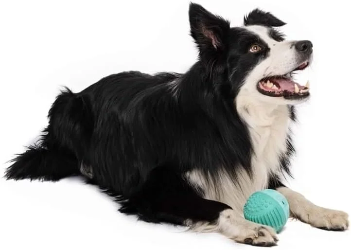 توپ سگ M-PETS Vice Versa با طعم گوشت گاو