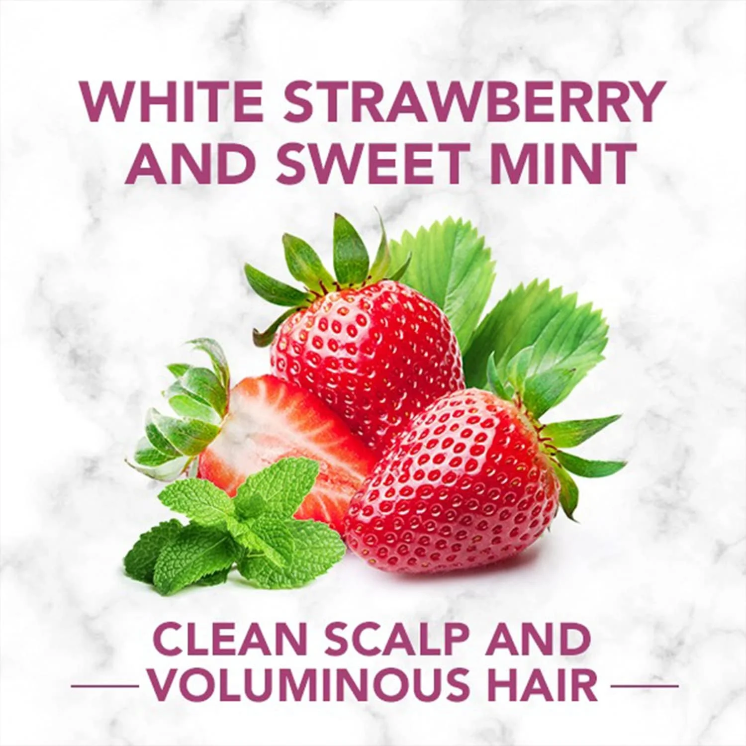 شامپو Herbal Essences توت فرنگی سفید و نعناع شیرین - برای پاکسازی و حجم دهی - بدون پارابن، بدون رنگ، 240 میلی لیتر شامپو Herbal Essences توت فرنگی سفید و نعناع شیرین - برای پاکسازی و حجم دهی - بدون پارابن، بدون رنگ، 240 میلی لیتر