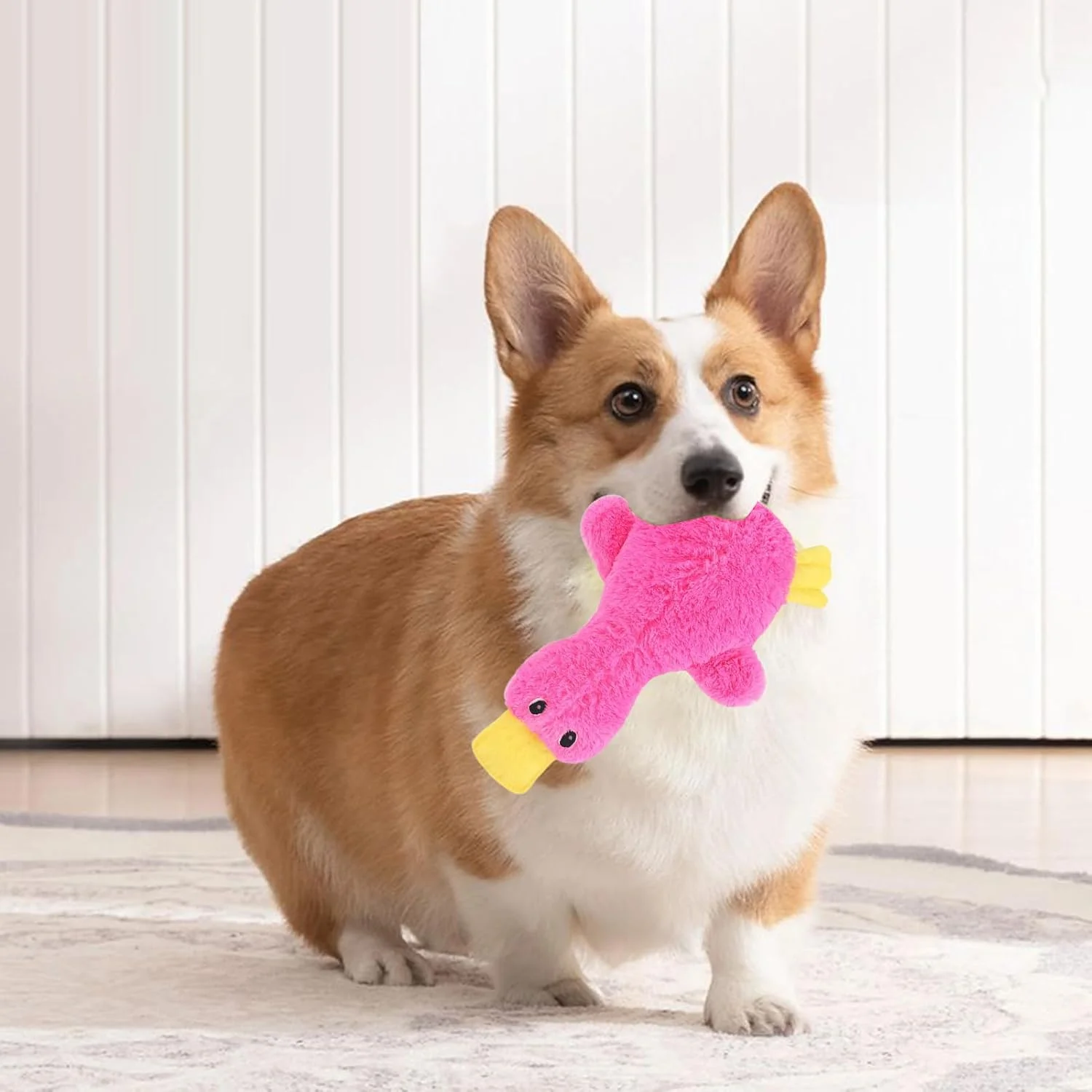 اسباب بازی جویدنی سگ - اردک چروک برای سرگرمی حیوانات بی حوصله، اسباب بازی جویدنی سگ عروسکی صدادار | برای اتاق نشیمن داخلی، بالکن، حیاط، باغ، کمپینگ در فضای باز