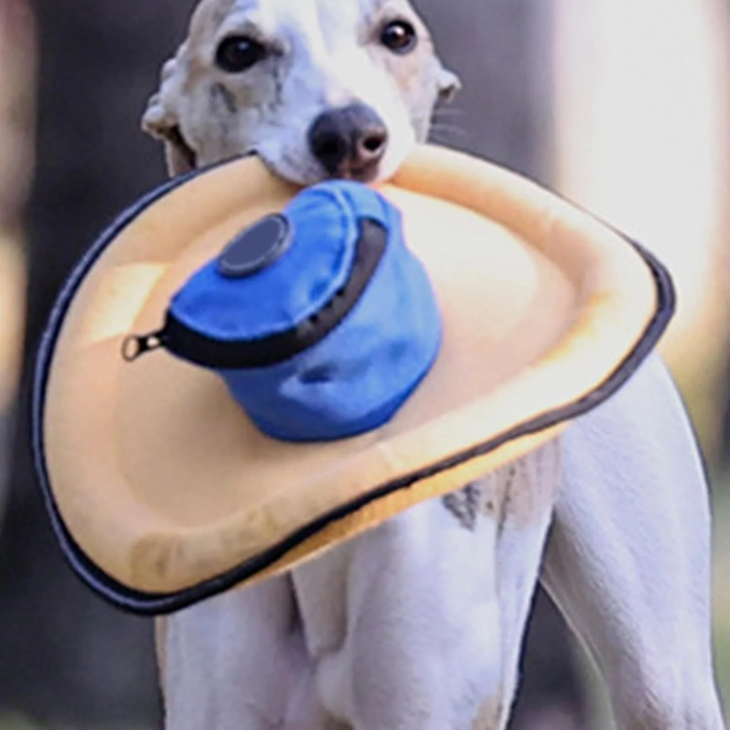 دیسک پرنده نرم برای سگ ها | لوازم حیوانات خانگی نرم بازتابنده - دیسک های بازی کششی برای بازی در فضای باز - برای همه نژادها کوچک متوسط پارک ساحل حیاط خلوت کمپینگ پیاده روی آخر هفته شب