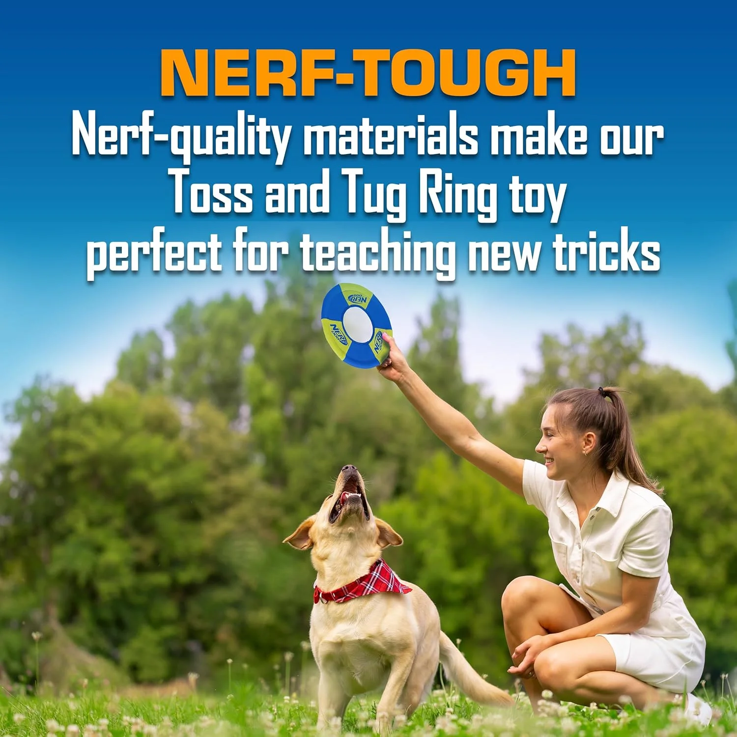 اسباب بازی سگ حلقه پرتاب و کشش Nerf Dog، فریزبی، سبک وزن، بادوام و مقاوم در برابر آب، قطر 9 اینچ، برای نژادهای متوسط/بزرگ، بسته دو عددی، سبز و نارنجی اسباب بازی سگ حلقه پرتاب و کشش Nerf Dog، فریزبی، سبک وزن، بادوام و مقاوم در برابر آب، قطر 9 اینچ، برای نژادهای متوسط/بزرگ، بسته دو عددی، سبز و نارنجی