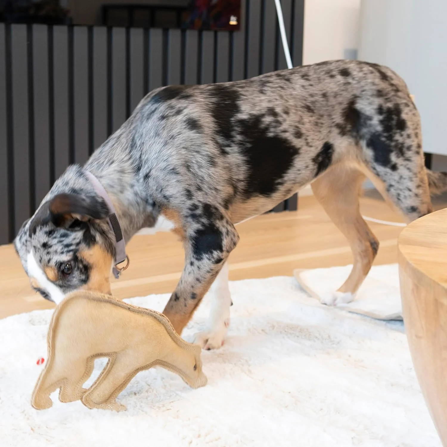 اسباب بازی سگ خرسی چرمی 7 اینچی SPOT Ethical Pet Dura-Fused، بزرگ