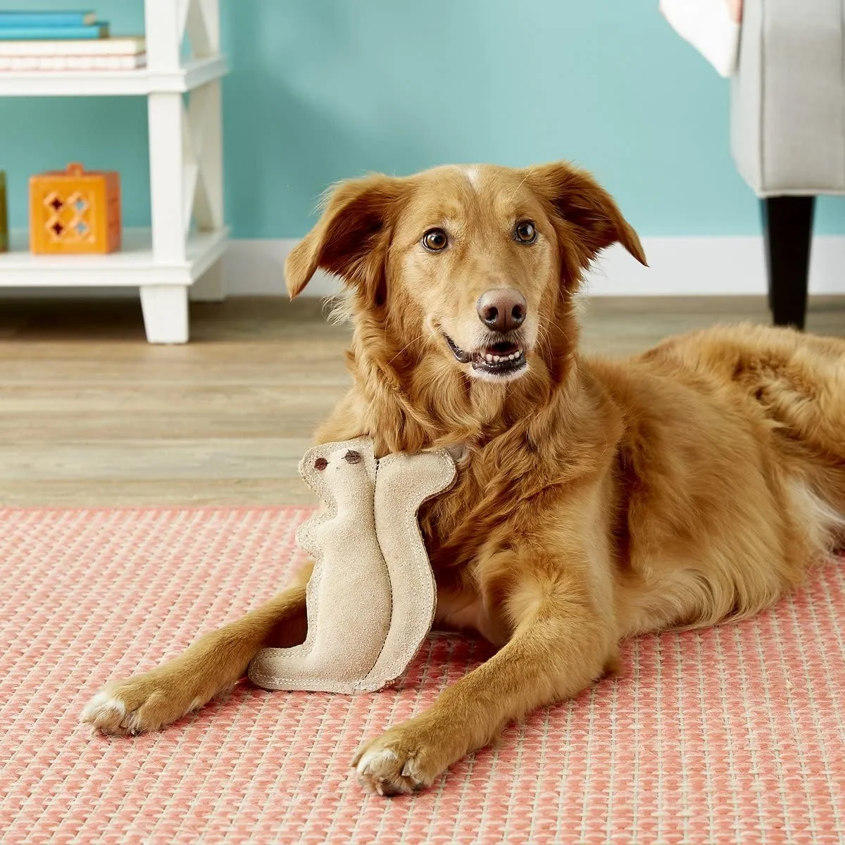 اسباب بازی سگ چرمی 8 اینچی دورا-فیوزد Ethical Pet SPOT، کوچک، سنجاب اسباب بازی سگ چرمی 8 اینچی دورا-فیوزد Ethical Pet SPOT، کوچک، سنجاب