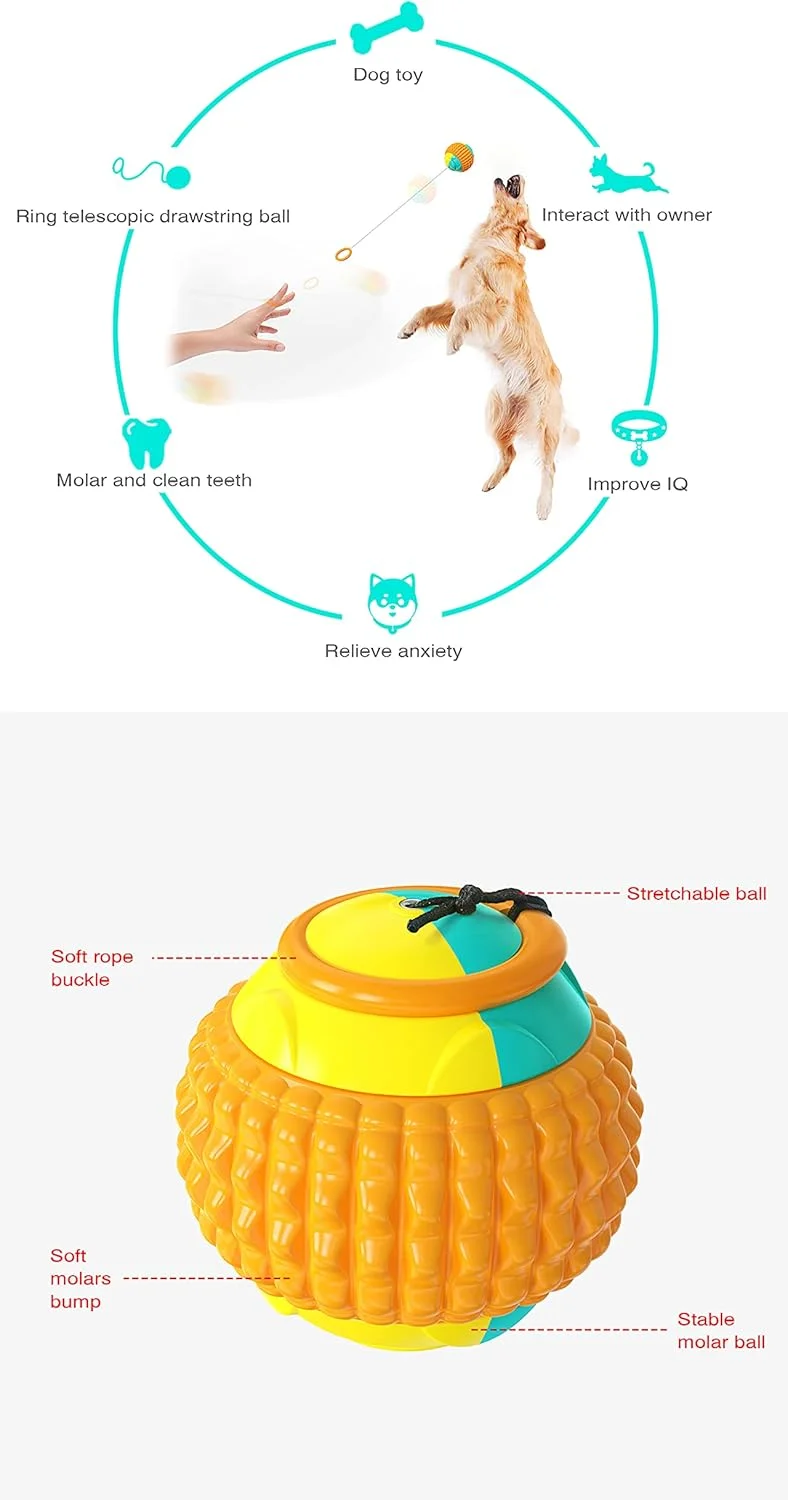 توپ پرتابی دستی تلسکوپی حلقه NW، توپ یو-یو، توپ حیوانات خانگی، اسباب بازی سگ، توپ سگ (نارنجی)