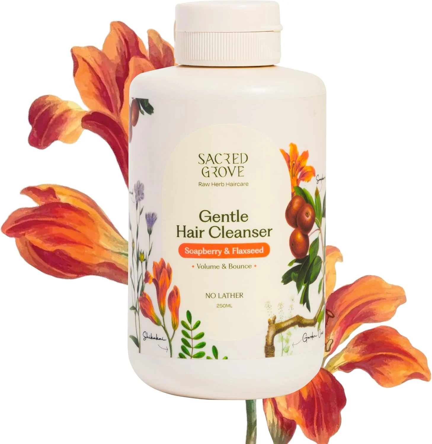 پاک کننده ملایم مو Sacred Grove بدون کف، حاوی ریتا، شیکاکای و تخم کتان، بدون سولفات و پارابن برای کنترل ریزش مو، شامپو ارگانیک، شامپو 100% طبیعی برای آقایان، بانوان و کودکان، 250 میلی لیتر پاک کننده ملایم مو Sacred Grove بدون کف، حاوی ریتا، شیکاکای و تخم کتان، بدون سولفات و پارابن برای کنترل ریزش مو، شامپو ارگانیک، شامپو 100% طبیعی برای آقایان، بانوان و کودکان، 250 میلی لیتر