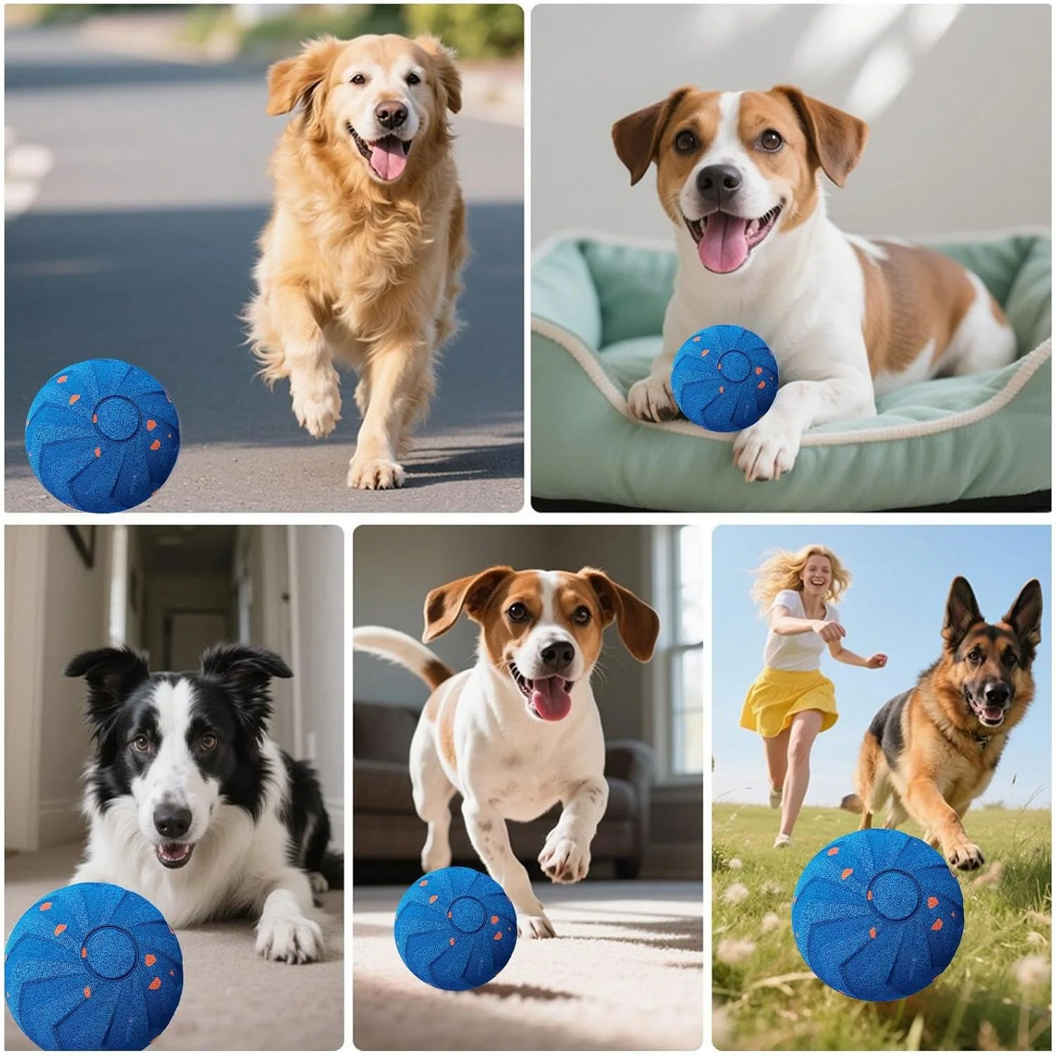 Interactive Dog Ball - Smart Moving Dog Interactive Toys,Automatic Bouncing Ball, USB Rechargeable Pet Toy for Front Door Garage Garden Living Room Lawn Patio Park Indoor Outdoor Play Interactive Dog Ball - Smart Moving Dog Interactive Toys,Automatic Bouncing Ball, USB Rechargeable Pet Toy for Front Door Garage Garden Living Room Lawn Patio Park Indoor Outdoor Play