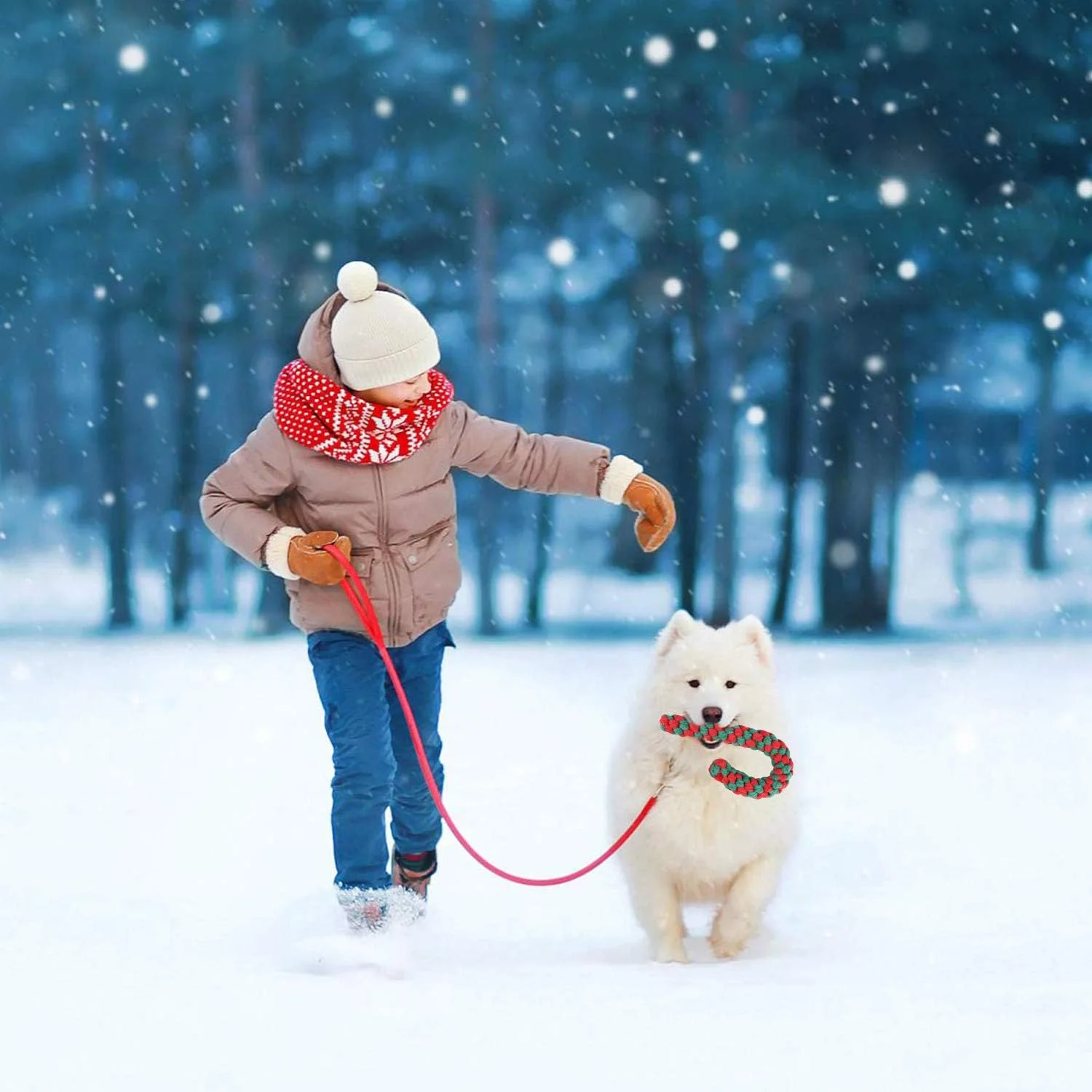 اسباب بازی جوراب کریسمس MAIAGO، ست هدیه اسباب بازی طناب سگ کریسمس، اسباب بازی طناب آب نبات عصایی، اسباب بازی جویدنی پنبه ای برای توله سگ، سگ های متوسط برای دندان درآوردن، تمیز کردن و آموزش، بسته 2 عددی قرمز و سبز اسباب بازی جوراب کریسمس MAIAGO، ست هدیه اسباب بازی طناب سگ کریسمس، اسباب بازی طناب آب نبات عصایی، اسباب بازی جویدنی پنبه ای برای توله سگ، سگ های متوسط برای دندان درآوردن، تمیز کردن و آموزش، بسته 2 عددی قرمز و سبز