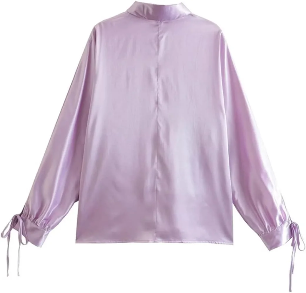 بلوز زنانه VETCS، پیراهن ساتن زنانه، بلوز آستین بلند زنانه پاپیونی، تاپ و لباس زنانه (رنگ: Hortel، سایز: L) بلوز زنانه VETCS، پیراهن ساتن زنانه، بلوز آستین بلند زنانه پاپیونی، تاپ و لباس زنانه (رنگ: Hortel، سایز: L)