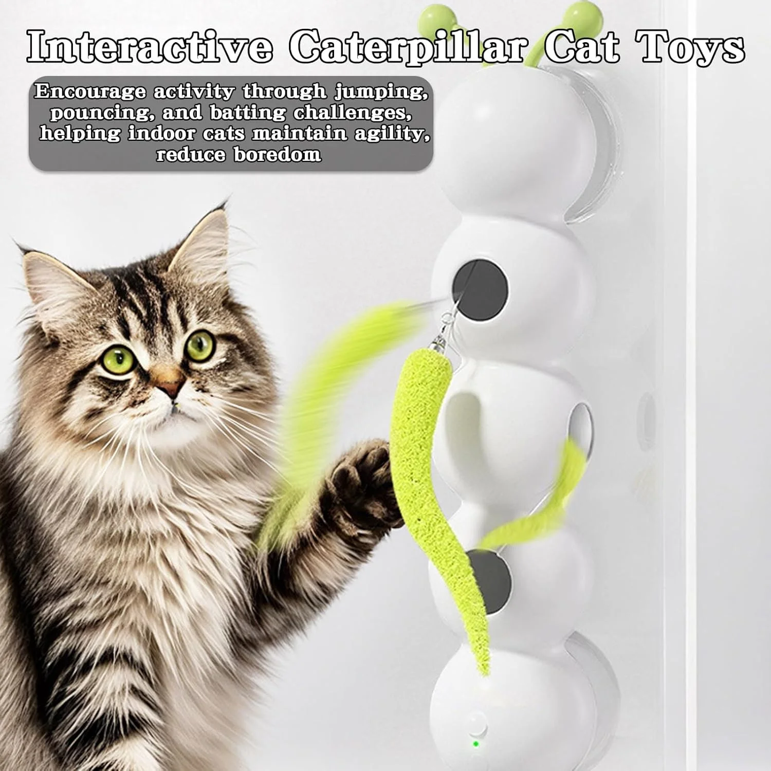 اسباب بازی گربه ویرلی، اسباب بازی تعاملی ارتقا یافته کرم ابریشم برای گربه، اسباب بازی حرکتی هوشمند گربه با طراحی کرم، بازی تعاملی نصب شده روی دیوار و پنجره برای گربه های داخل خانه اسباب بازی گربه ویرلی، اسباب بازی تعاملی ارتقا یافته کرم ابریشم برای گربه، اسباب بازی حرکتی هوشمند گربه با طراحی کرم، بازی تعاملی نصب شده روی دیوار و پنجره برای گربه های داخل خانه