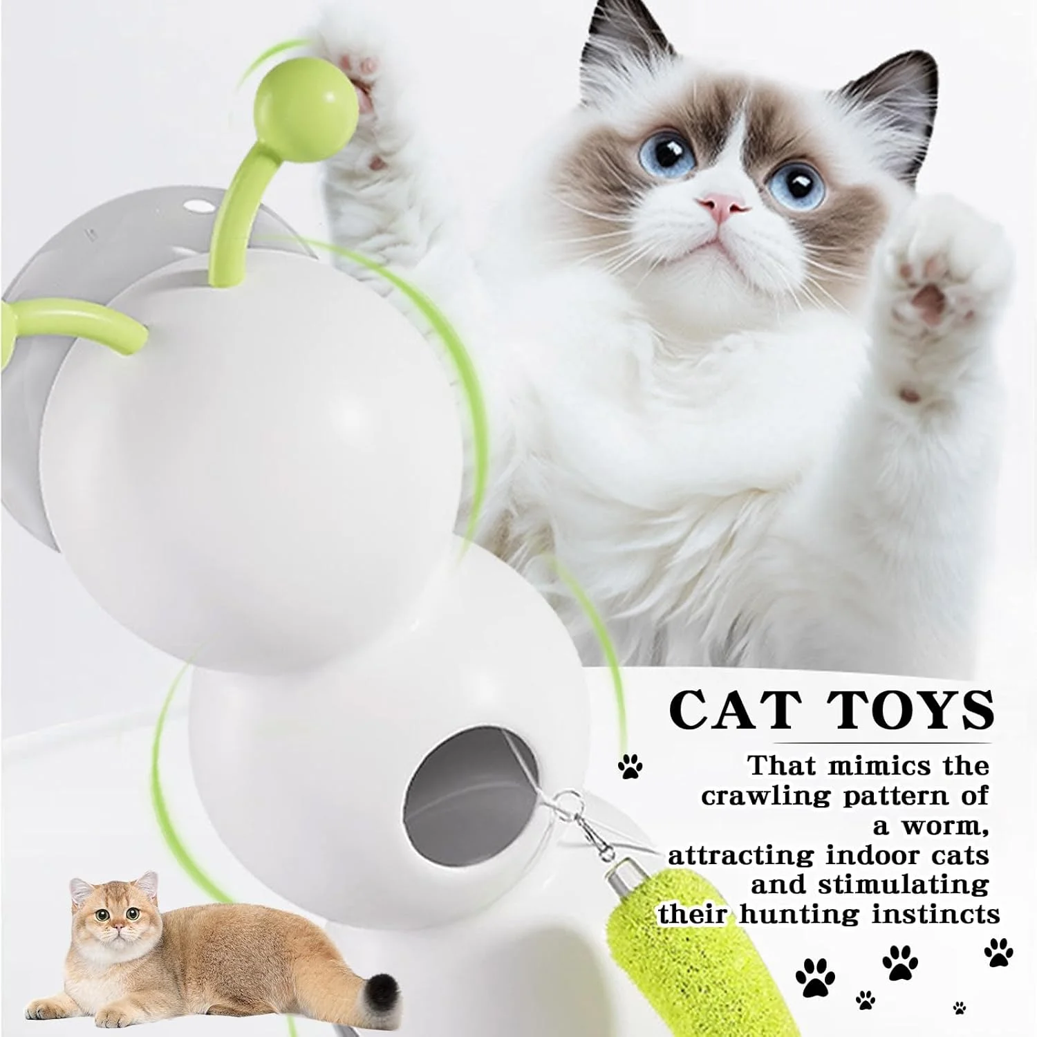 اسباب بازی گربه ویرلی، اسباب بازی تعاملی ارتقا یافته کرم ابریشم برای گربه، اسباب بازی حرکتی هوشمند گربه با طراحی کرم، بازی تعاملی نصب شده روی دیوار و پنجره برای گربه های داخل خانه اسباب بازی گربه ویرلی، اسباب بازی تعاملی ارتقا یافته کرم ابریشم برای گربه، اسباب بازی حرکتی هوشمند گربه با طراحی کرم، بازی تعاملی نصب شده روی دیوار و پنجره برای گربه های داخل خانه