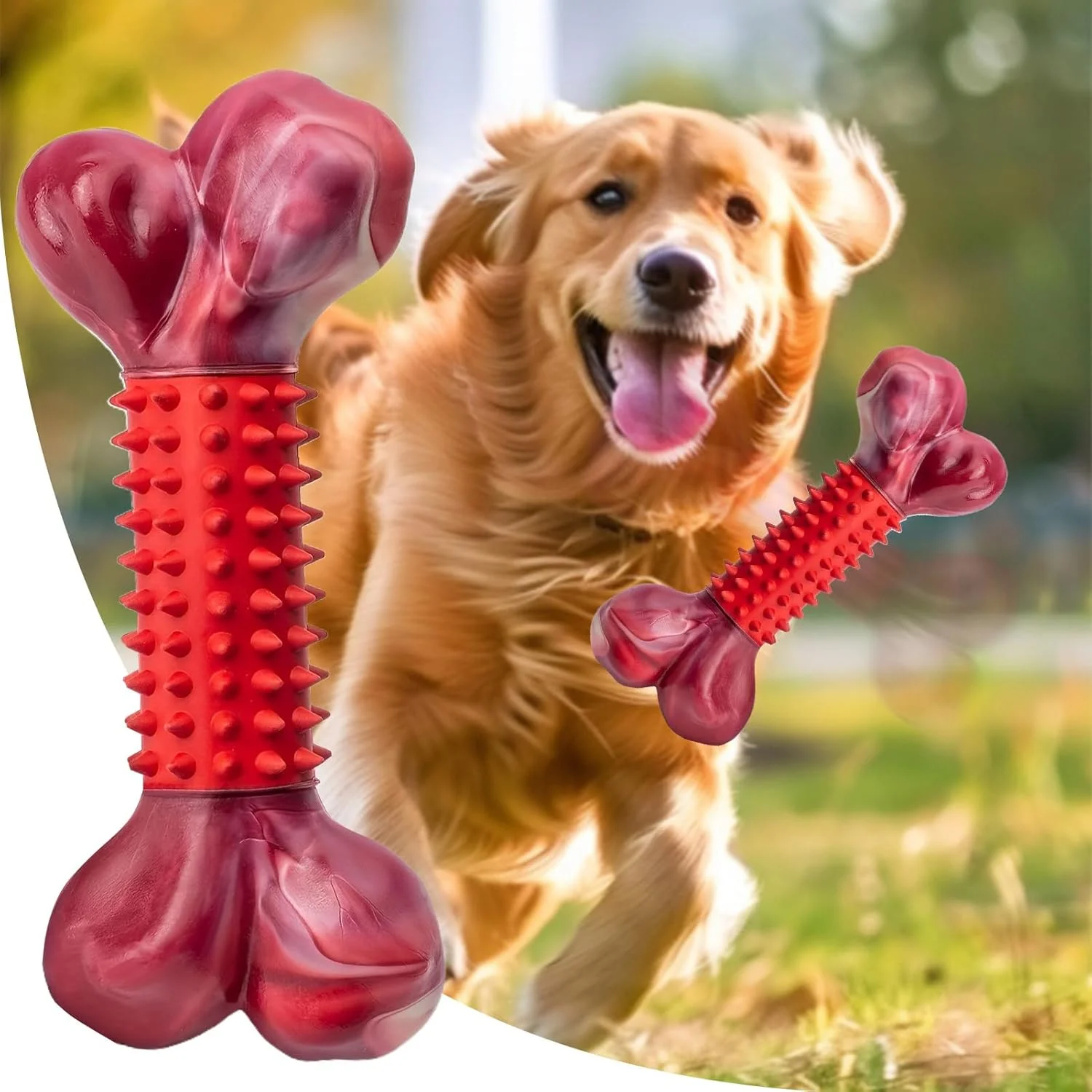 اسباب بازی استخوان سگ، اسباب بازی استخوان دندان درآوردن حیوانات خانگی، چوب دندان گیر توله سگ، لوازم جویدنی برای پارک های سرپوشیده و فضای باز، اتاق نشیمن، خانه، آپارتمان، حیاط، مناطق بازی اتاق خواب اسباب بازی استخوان سگ، اسباب بازی استخوان دندان درآوردن حیوانات خانگی، چوب دندان گیر توله سگ، لوازم جویدنی برای پارک های سرپوشیده و فضای باز، اتاق نشیمن، خانه، آپارتمان، حیاط، مناطق بازی اتاق خواب