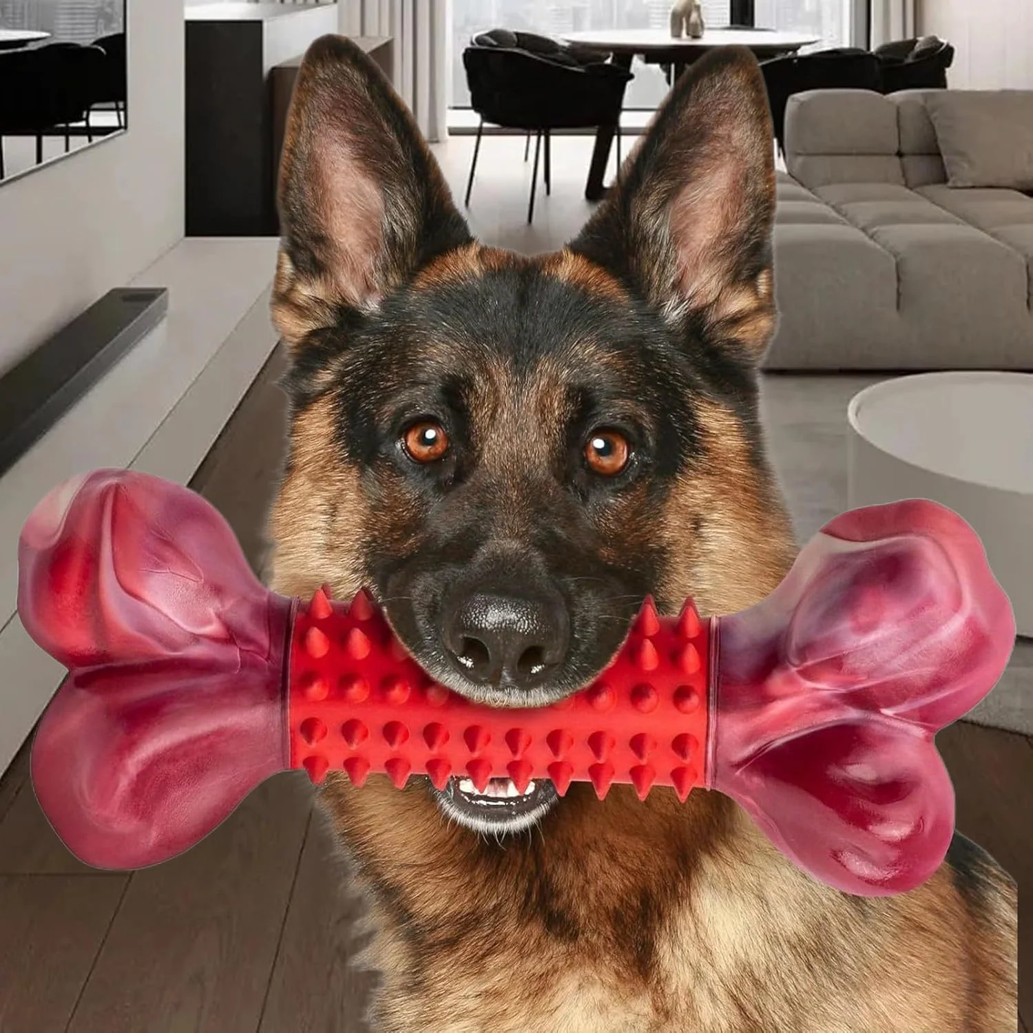 اسباب بازی استخوان سگ، اسباب بازی استخوان دندان درآوردن حیوانات خانگی، چوب دندان گیر توله سگ برای مصارف جویدن در فضاهای داخلی، پارک های بیرونی، اتاق نشیمن، خانه، آپارتمان، حیاط، اتاق خواب، مناطق بازی اسباب بازی استخوان سگ، اسباب بازی استخوان دندان درآوردن حیوانات خانگی، چوب دندان گیر توله سگ برای مصارف جویدن در فضاهای داخلی، پارک های بیرونی، اتاق نشیمن، خانه، آپارتمان، حیاط، اتاق خواب، مناطق بازی