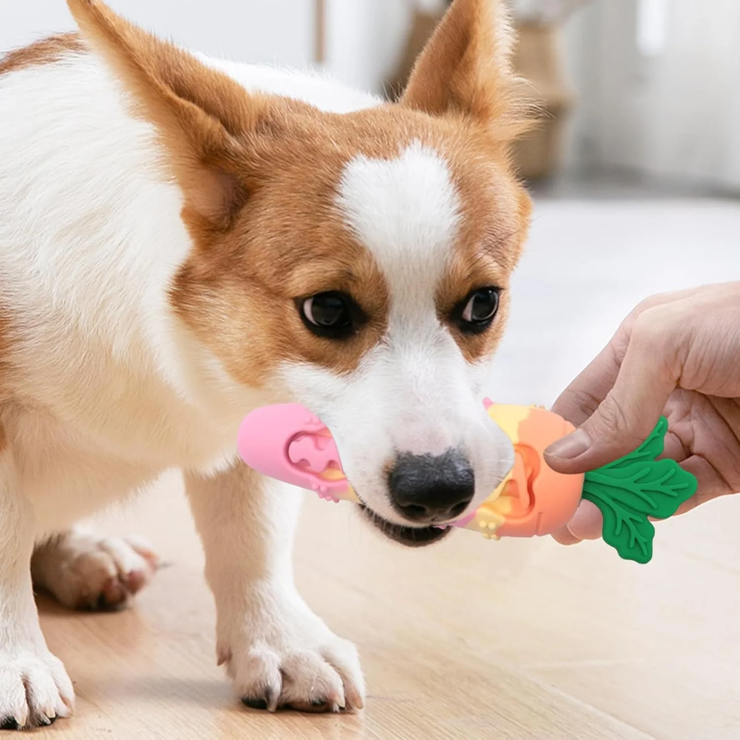 اسباب بازی جویدنی برای سگ ها | اسباب بازی تمیز کننده دندان سگ | محصول جویدنی حیوانات خانگی برای آموزش بازی در فضای داخلی و خارجی، آوردن، حمام، مسافرت، جعبه، تولد، کریسمس، هالووین، عید پاک اسباب بازی جویدنی برای سگ ها | اسباب بازی تمیز کننده دندان سگ | محصول جویدنی حیوانات خانگی برای آموزش بازی در فضای داخلی و خارجی، آوردن، حمام، مسافرت، جعبه، تولد، کریسمس، هالووین، عید پاک