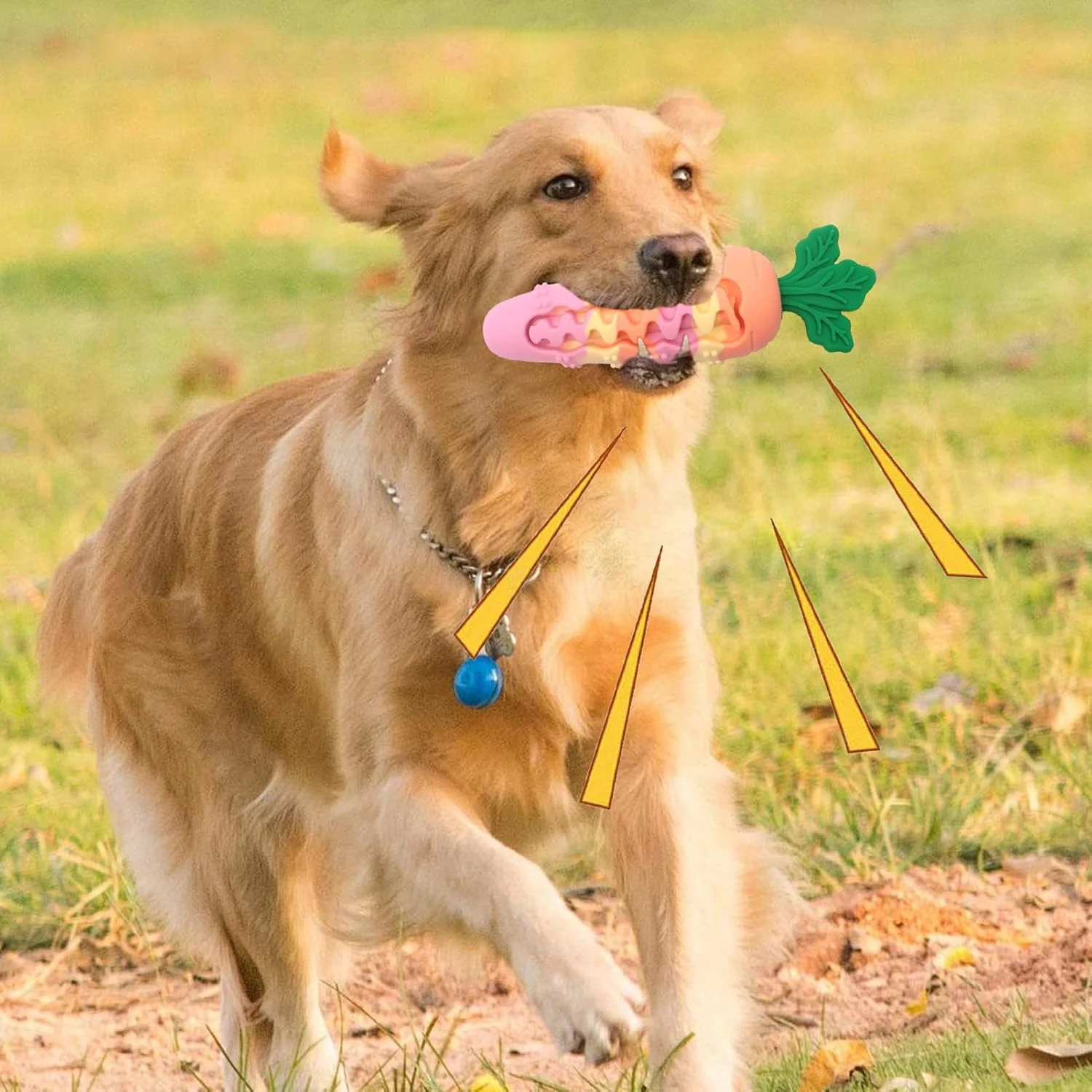 اسباب بازی جویدنی برای سگ ها | اسباب بازی تمیز کننده دندان سگ | محصول جویدنی حیوانات خانگی برای آموزش بازی در فضای داخلی و خارجی، آوردن، حمام، مسافرت، جعبه، تولد، کریسمس، هالووین، عید پاک اسباب بازی جویدنی برای سگ ها | اسباب بازی تمیز کننده دندان سگ | محصول جویدنی حیوانات خانگی برای آموزش بازی در فضای داخلی و خارجی، آوردن، حمام، مسافرت، جعبه، تولد، کریسمس، هالووین، عید پاک