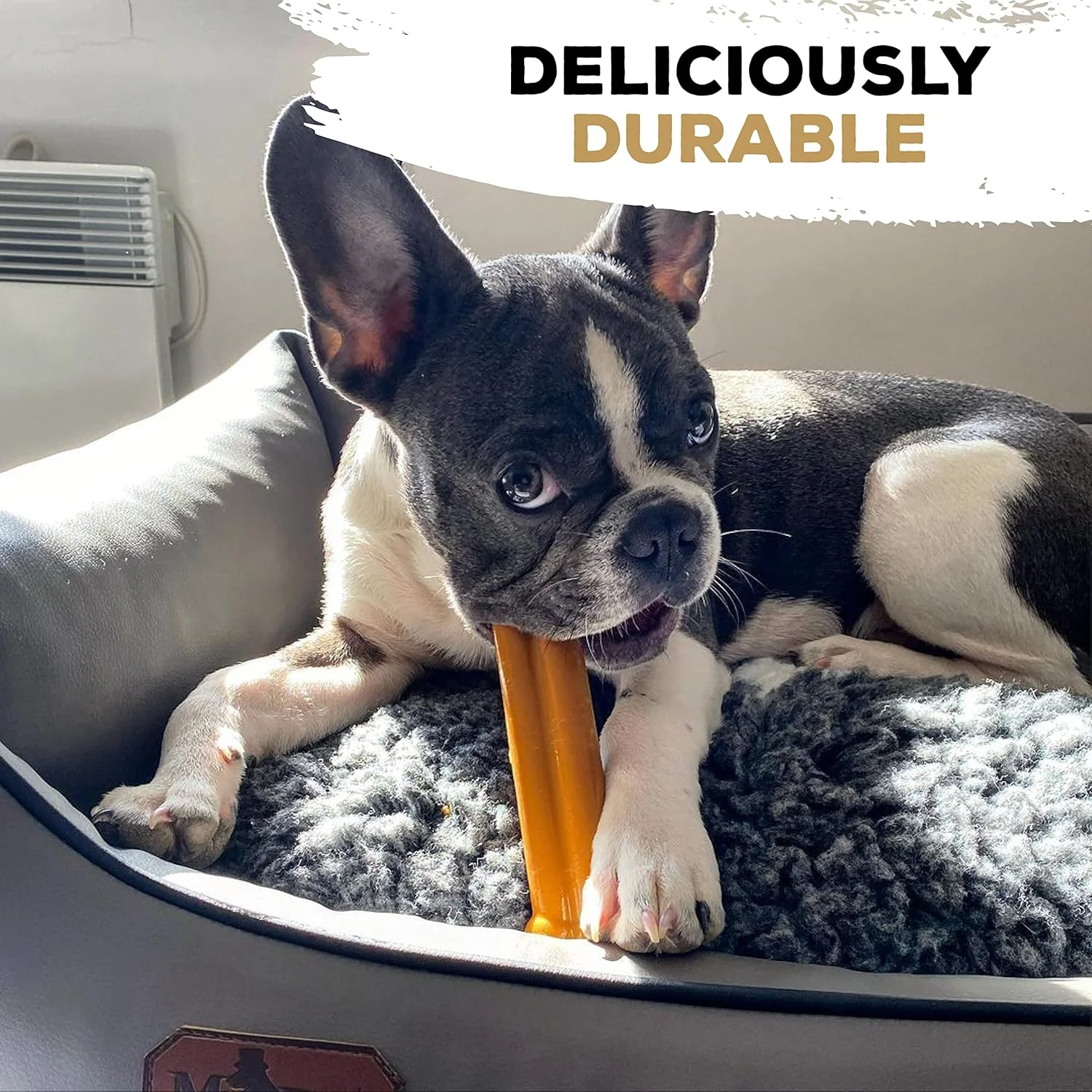 استخوان خوشمزه با طعم کره بادام زمینی، سایز کوچک